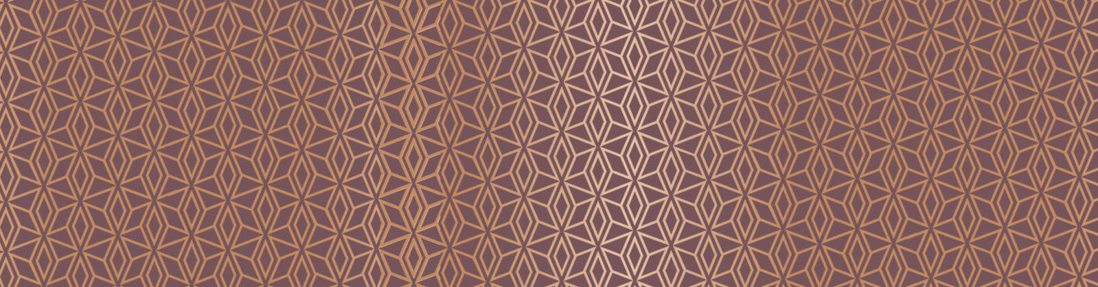 banner image jordan von lange pattern.png