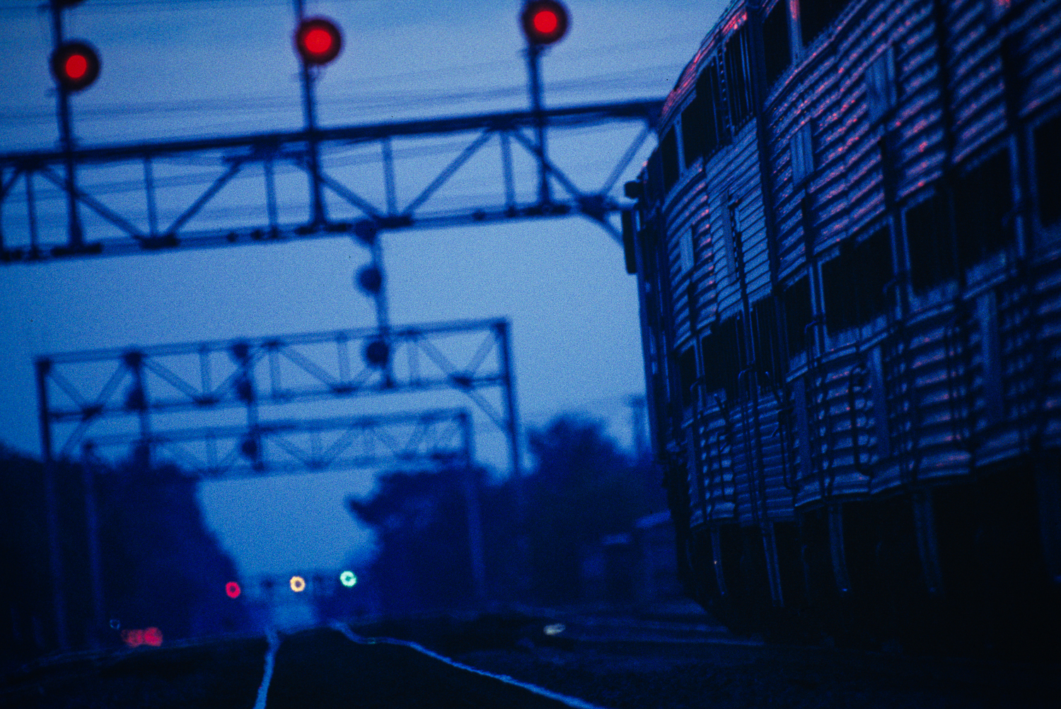 Evening train