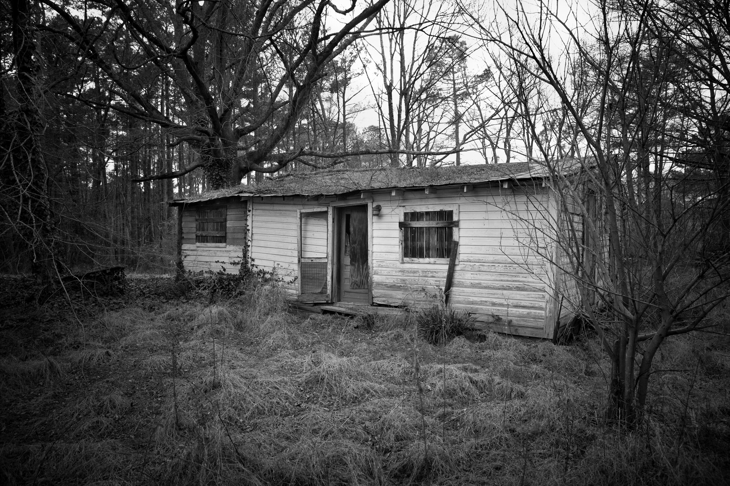 North Carolina Home