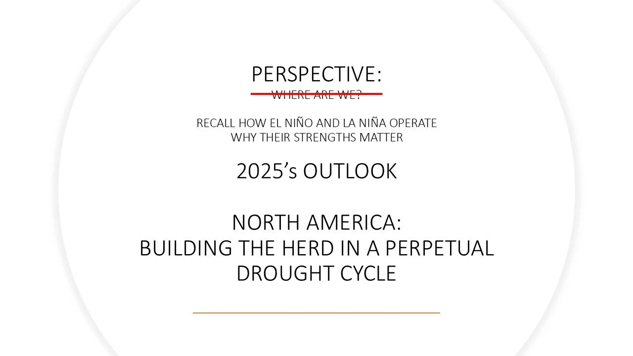 Slide11.JPG