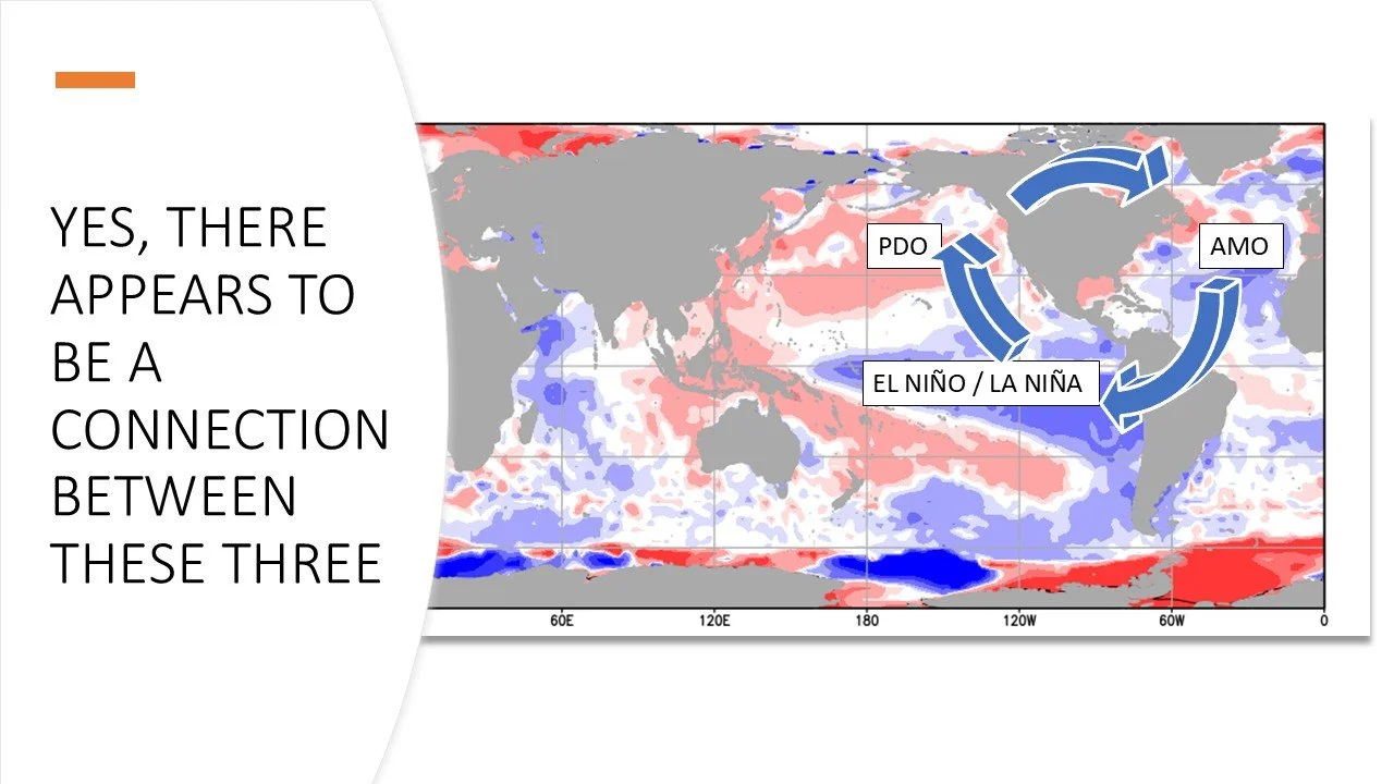Slide83.JPG