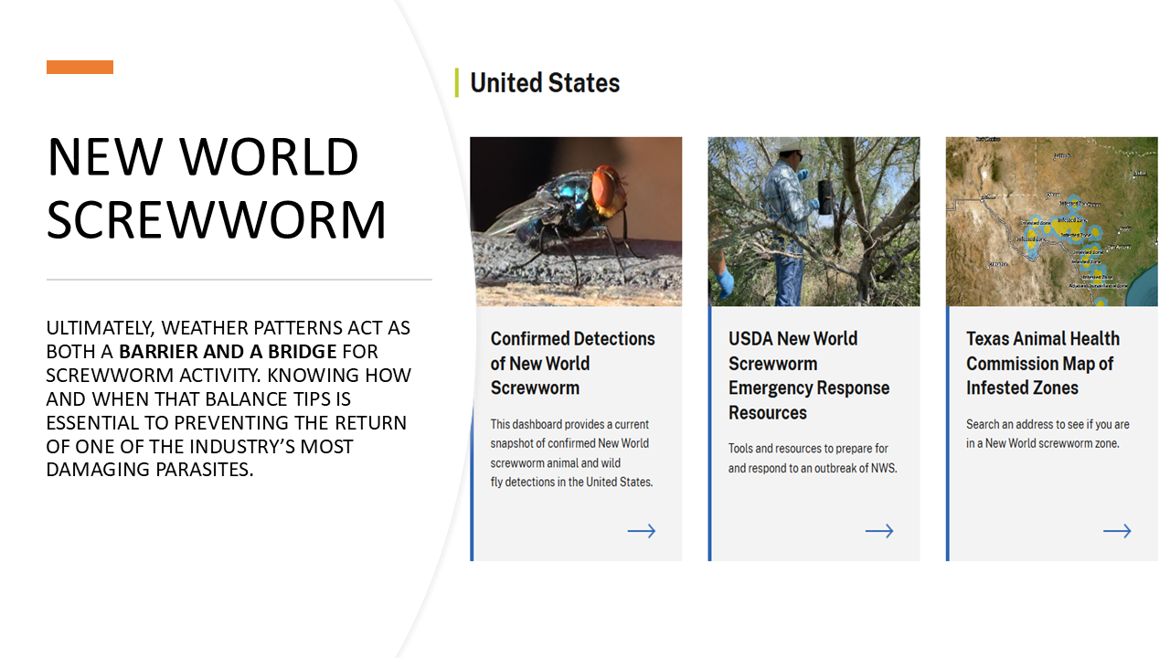 Slide59.PNG