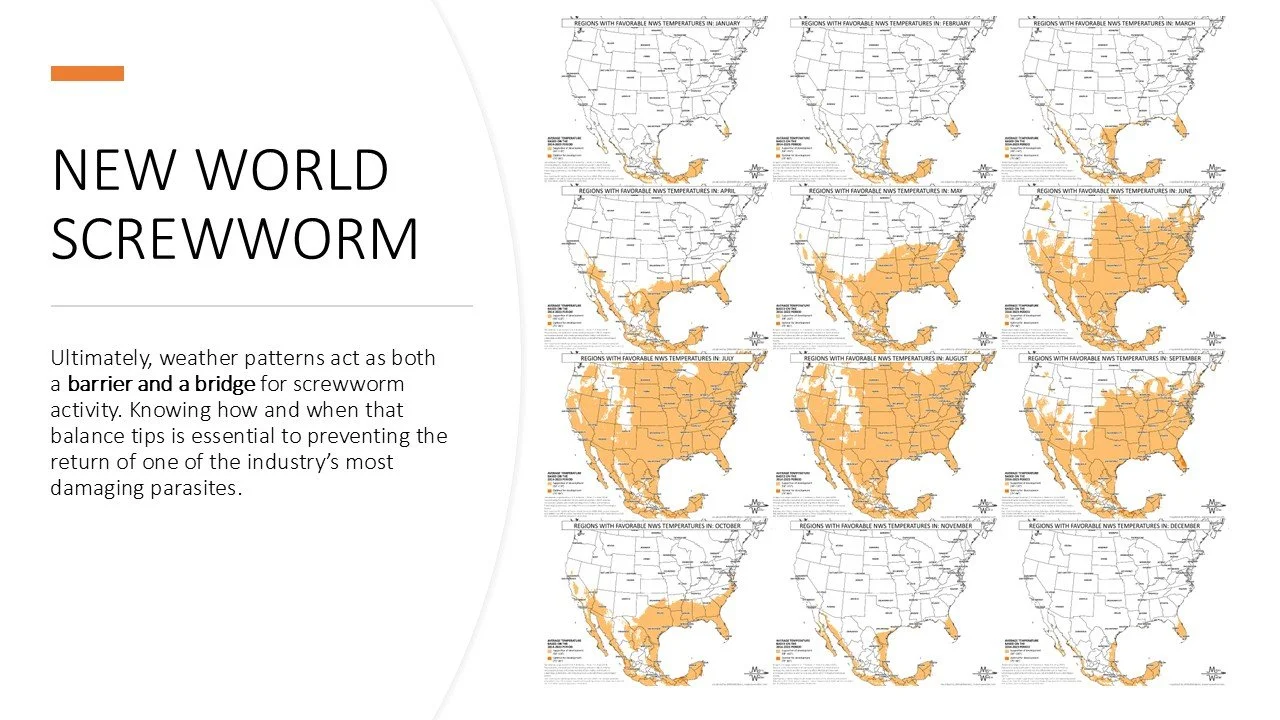 Slide009.JPG