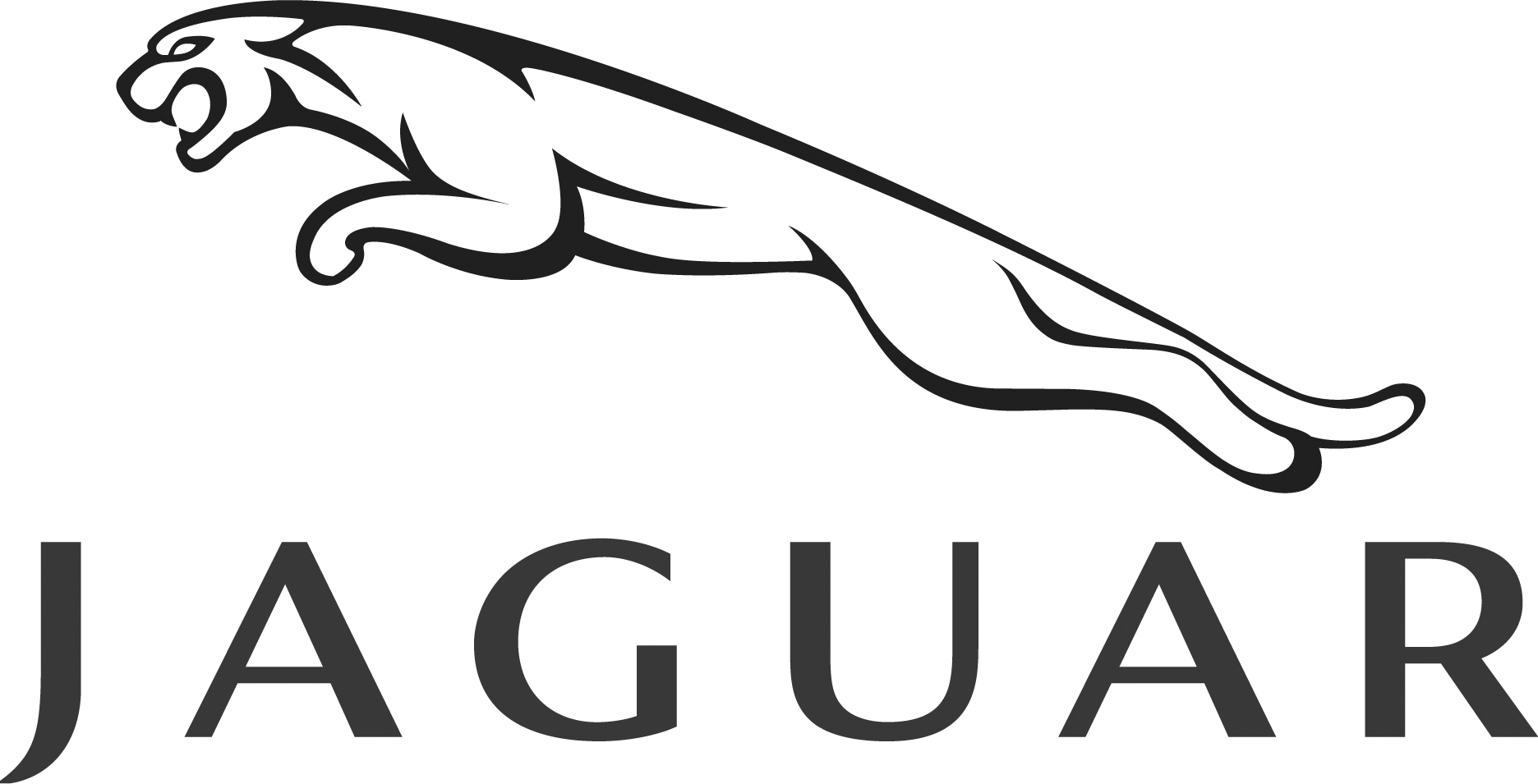 Jaguar-grey.png