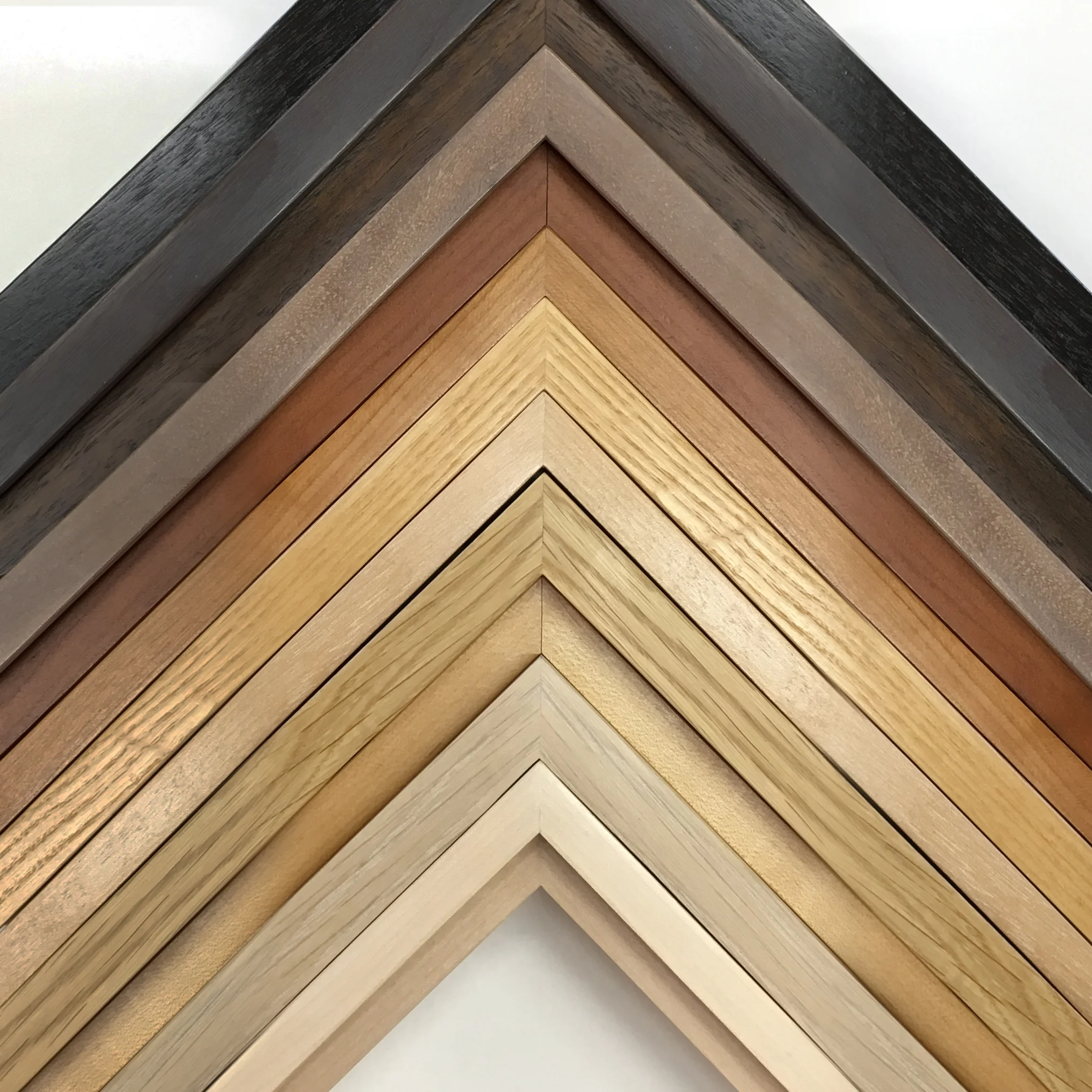 hardwoods1.jpg