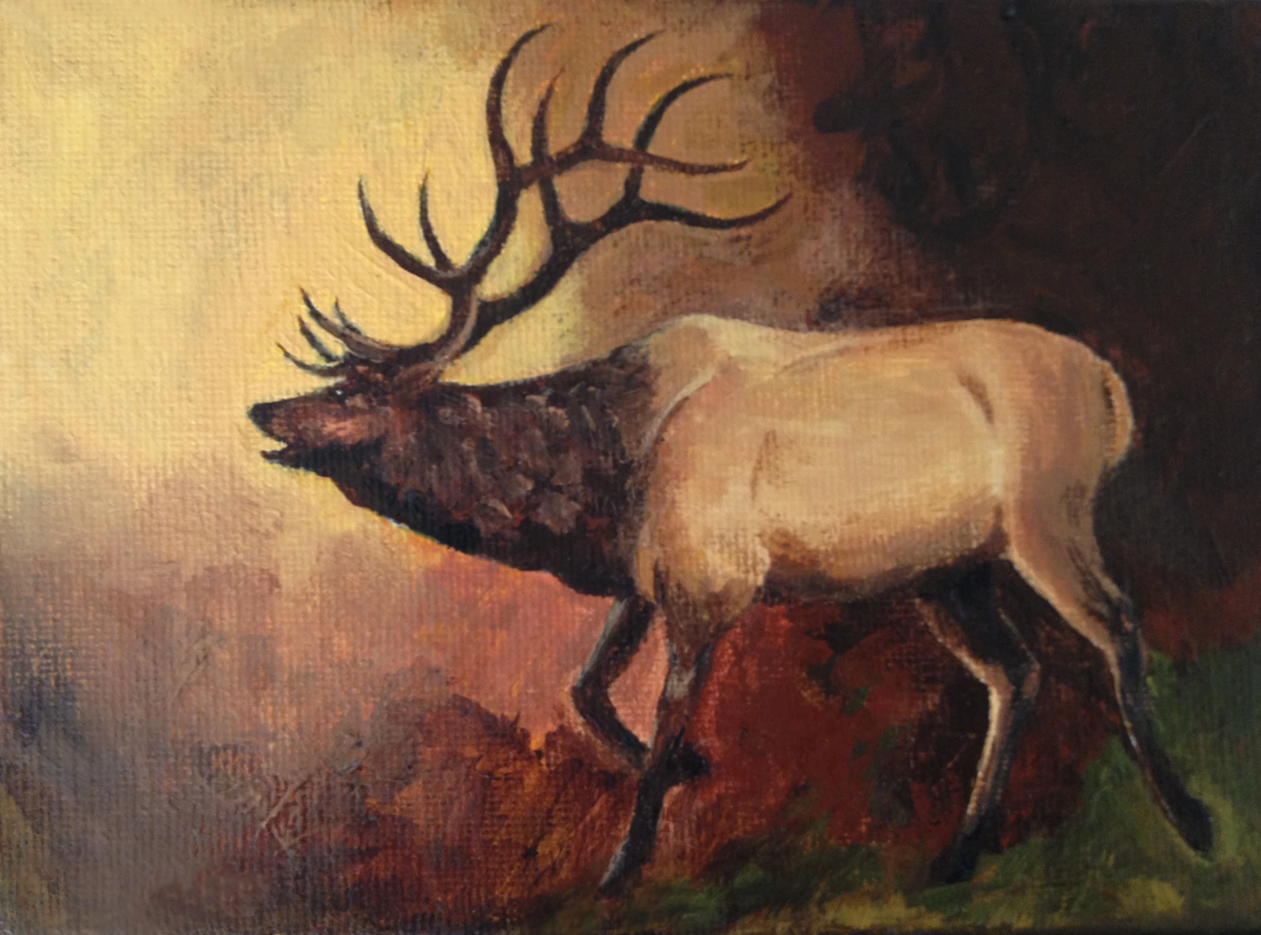 Montana Bugler