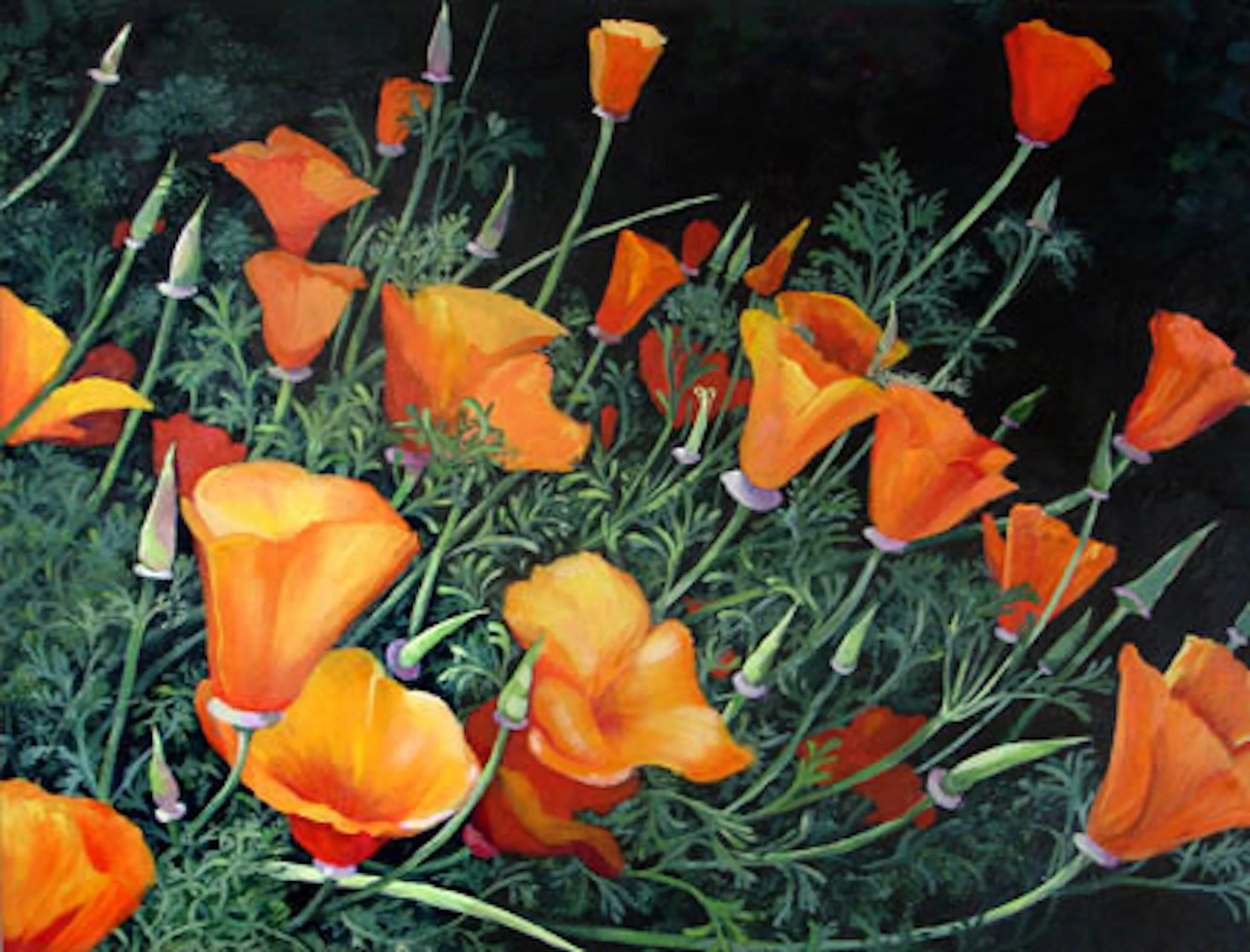 Poppy Time