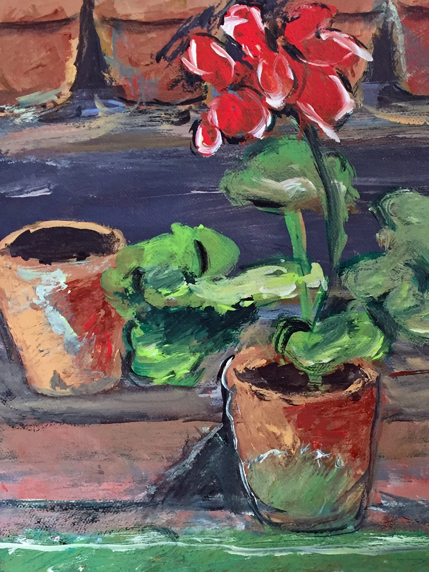 Geranium with Pots