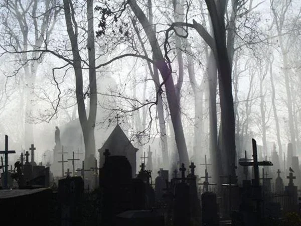GRAVEDIGGER'S BOY