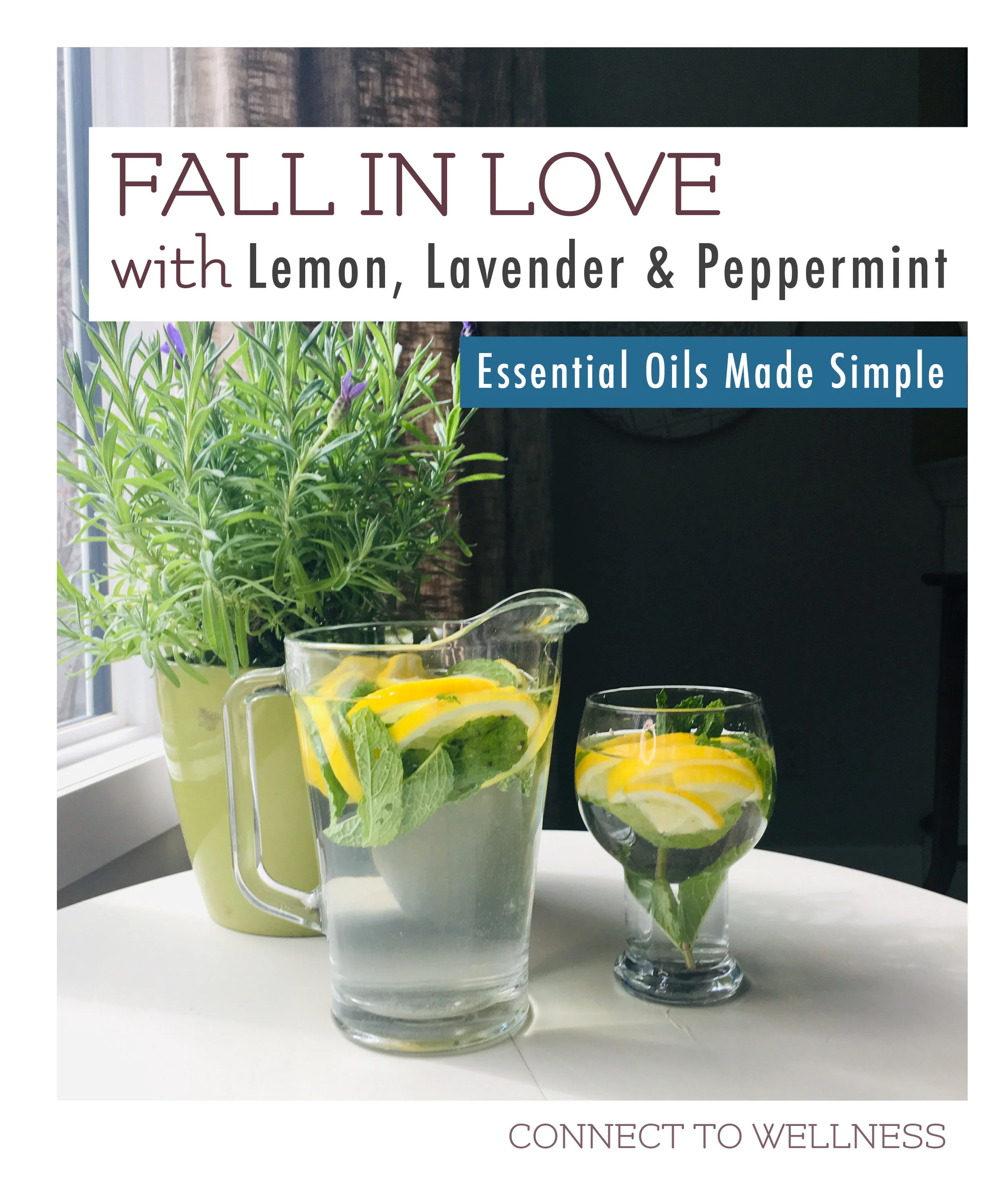 Cover - 3.jpg