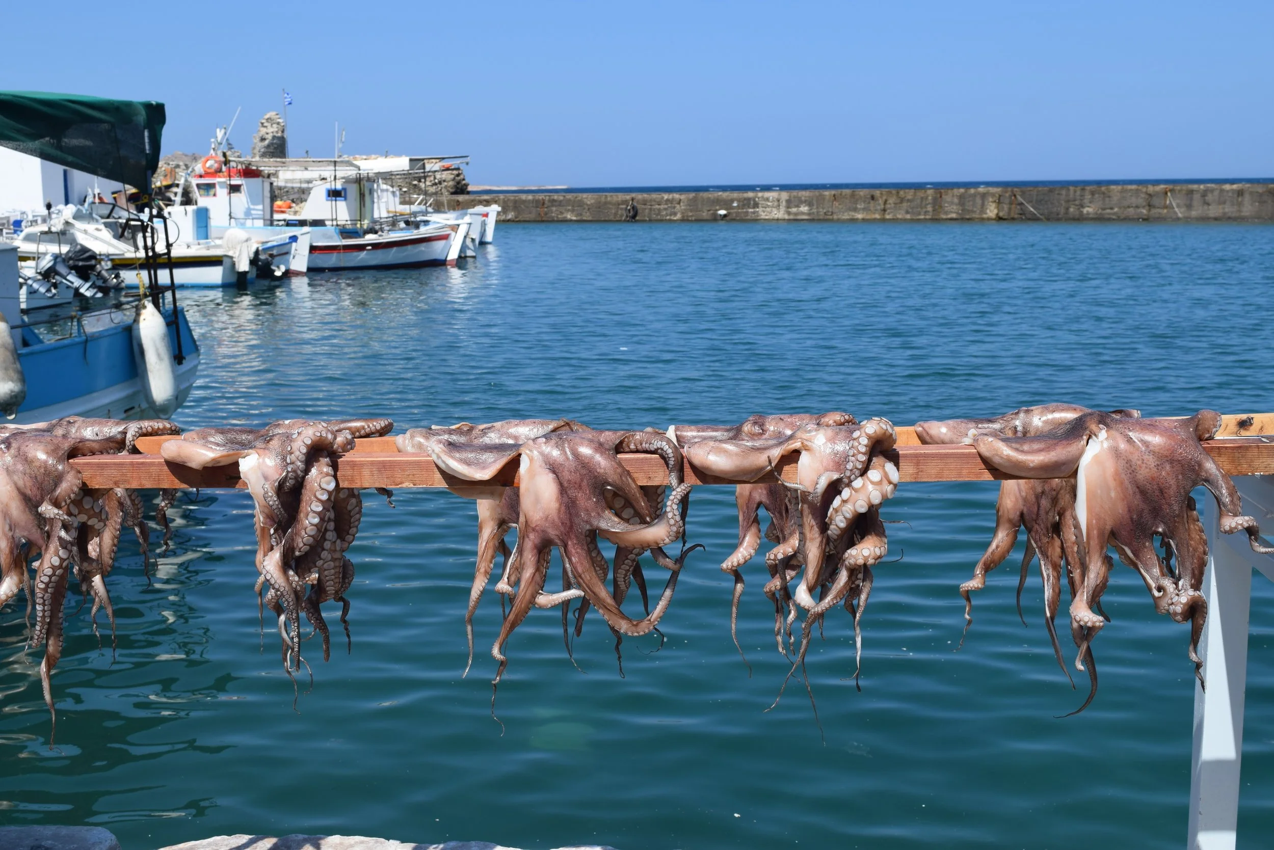 DSC_0513.JPG