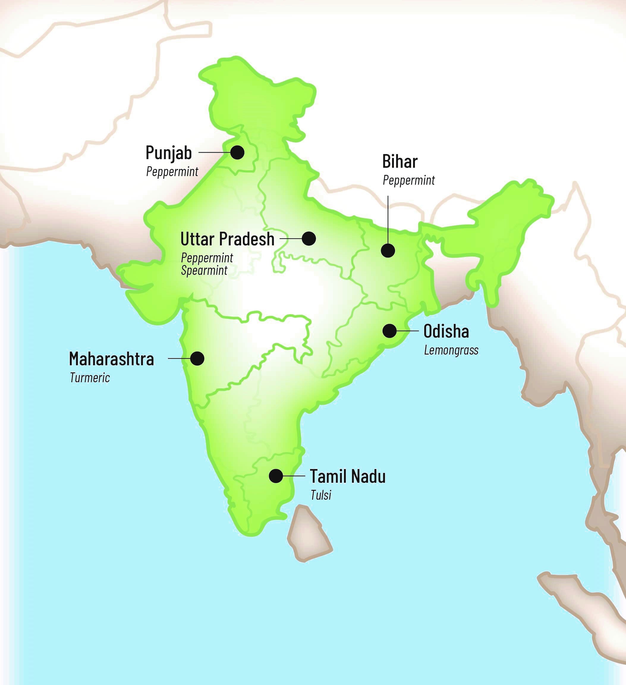 india-map.jpg