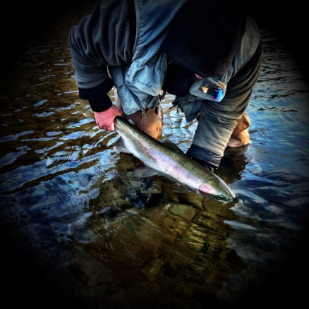 fishing.jpeg