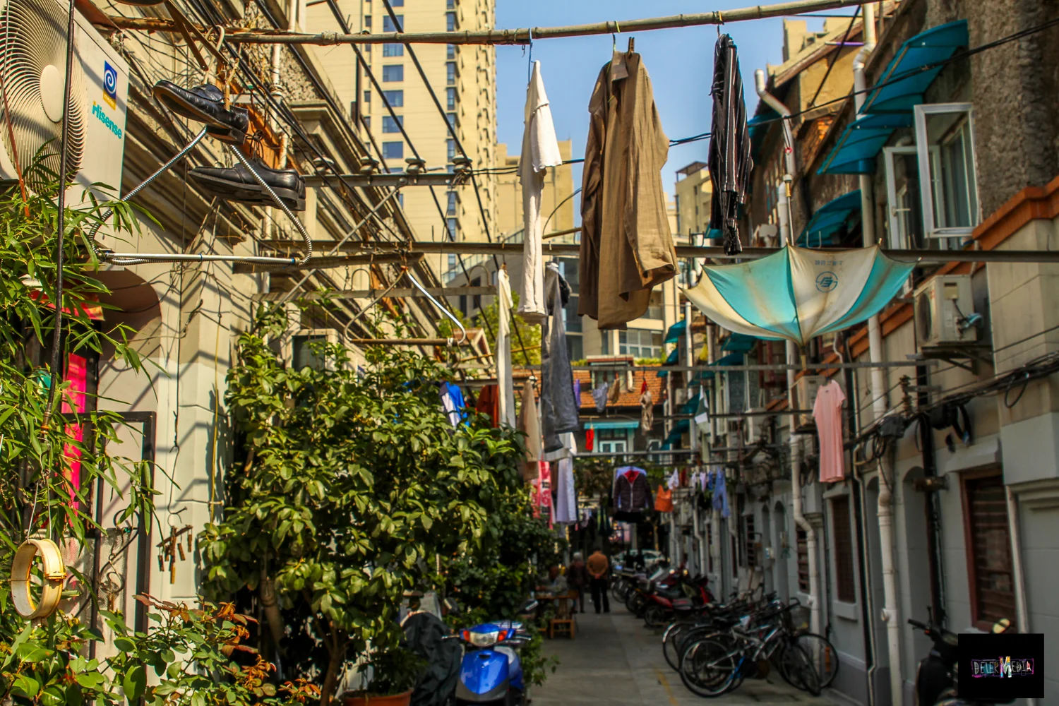 umbrelachina.street.jpg