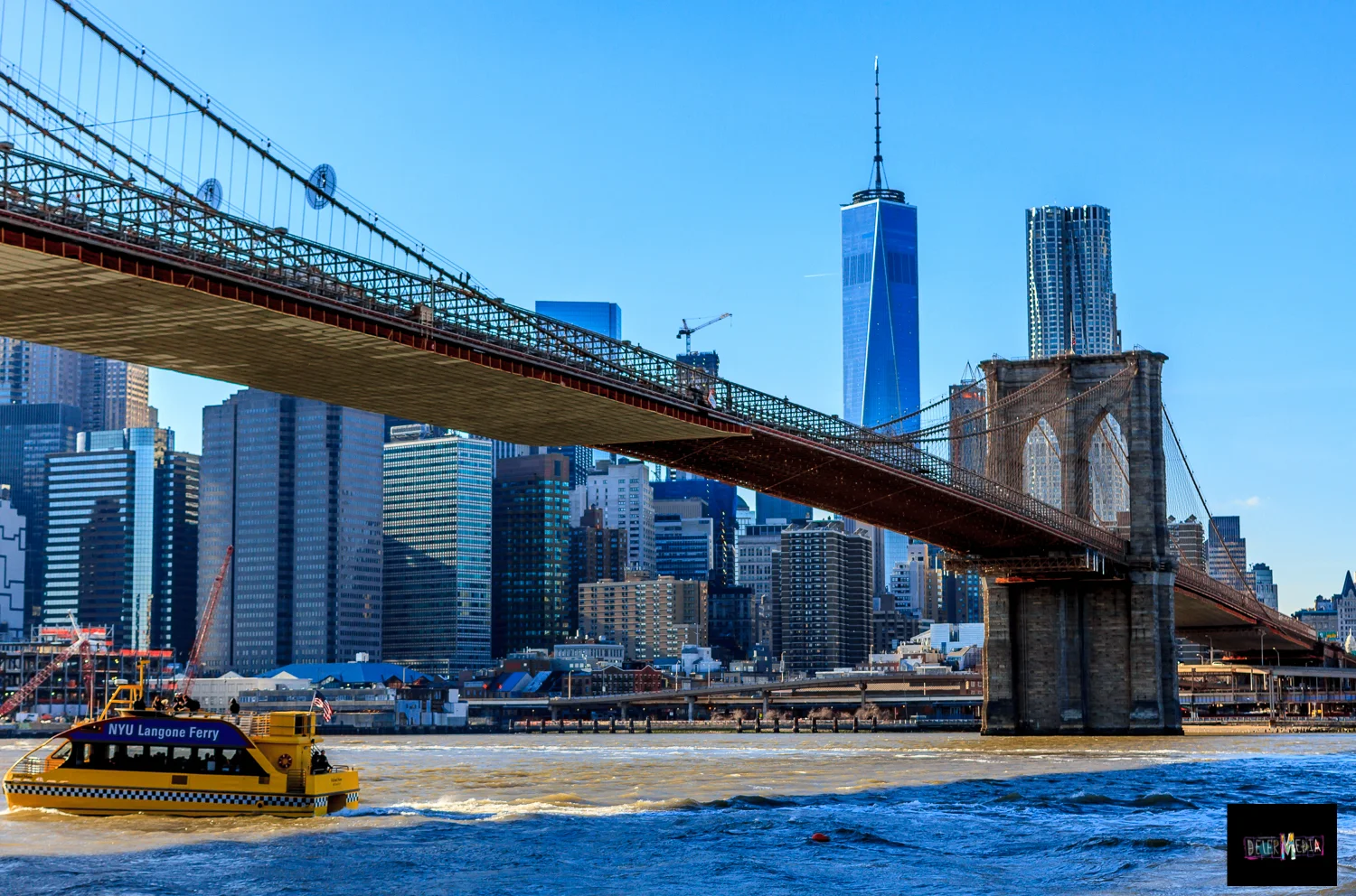 NYCTAXI.VISTA.jpg