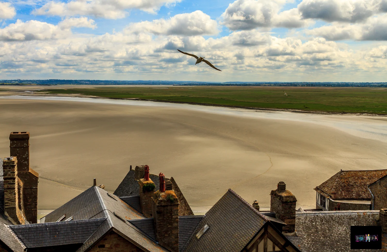 BIRDVISTA.jpg