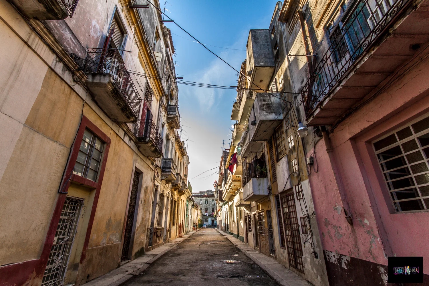 habanastreet.STREET.jpg