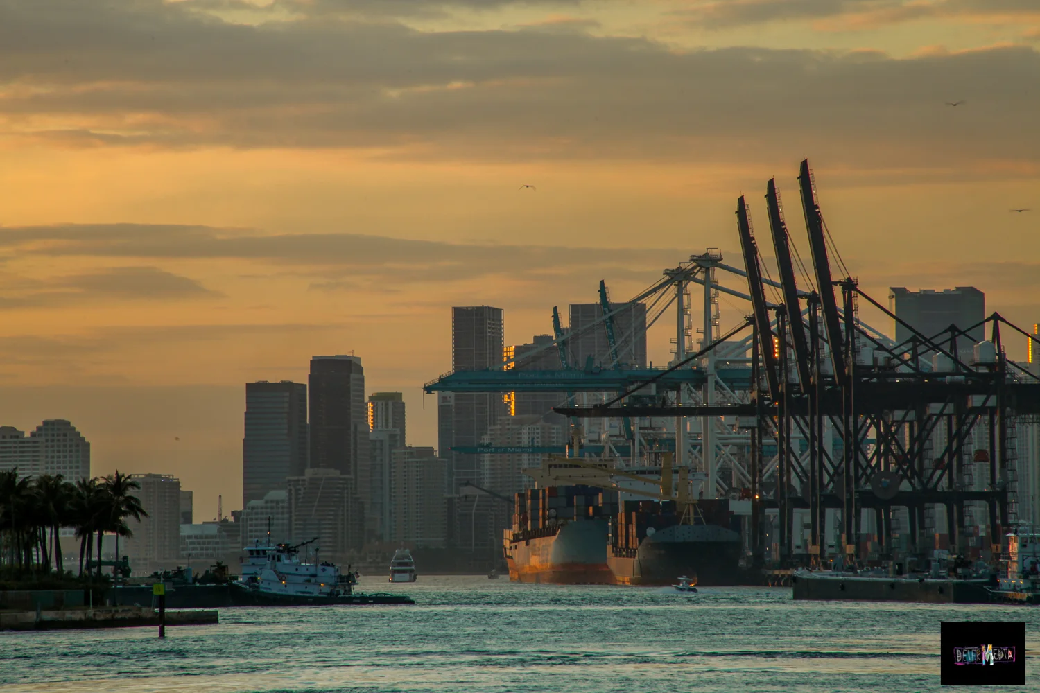 PORTOF305.VISTA.jpg
