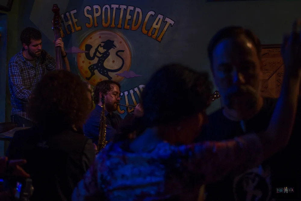 thespottedcat.STREET.jpg
