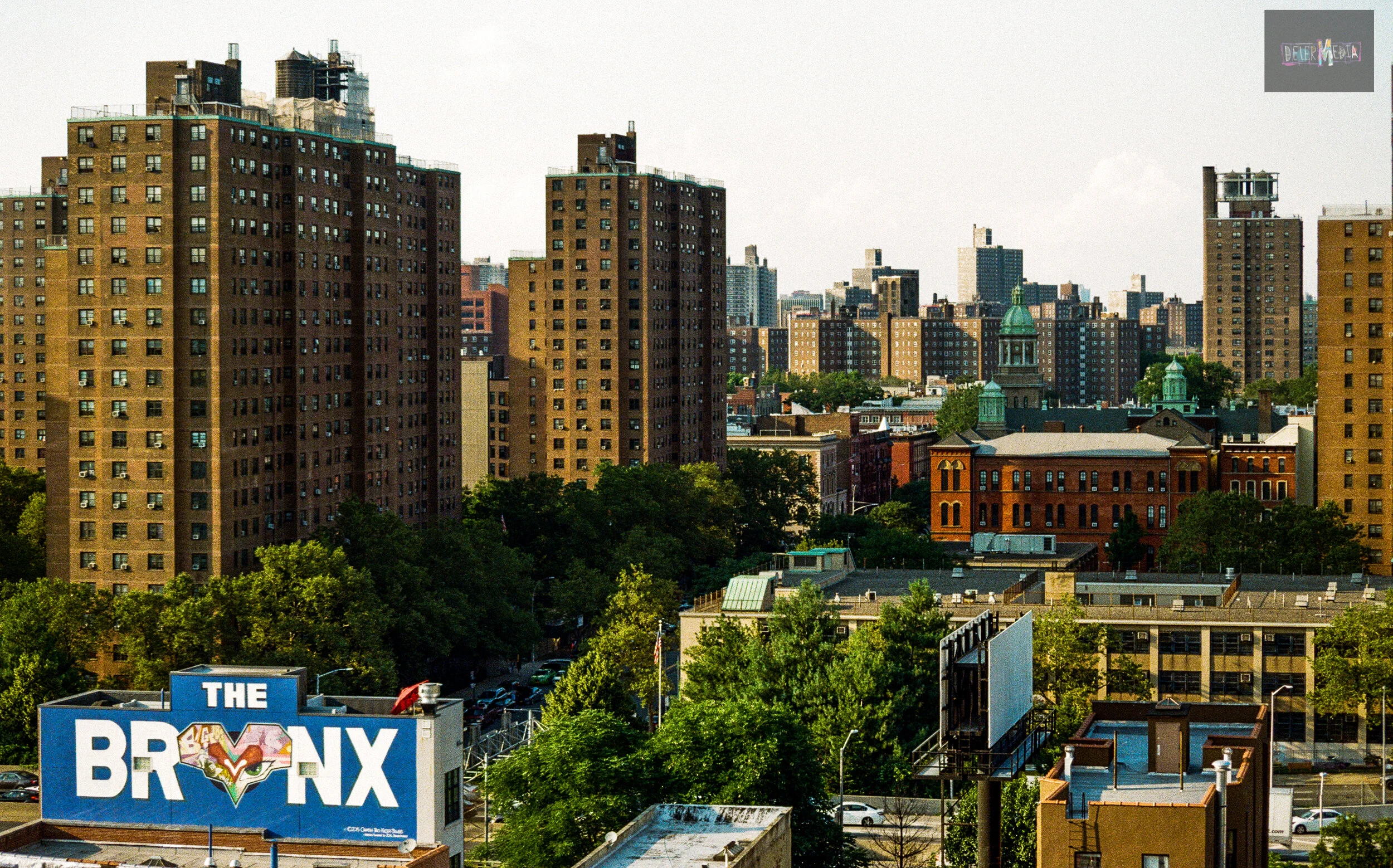 BRONX.VISTA.jpg