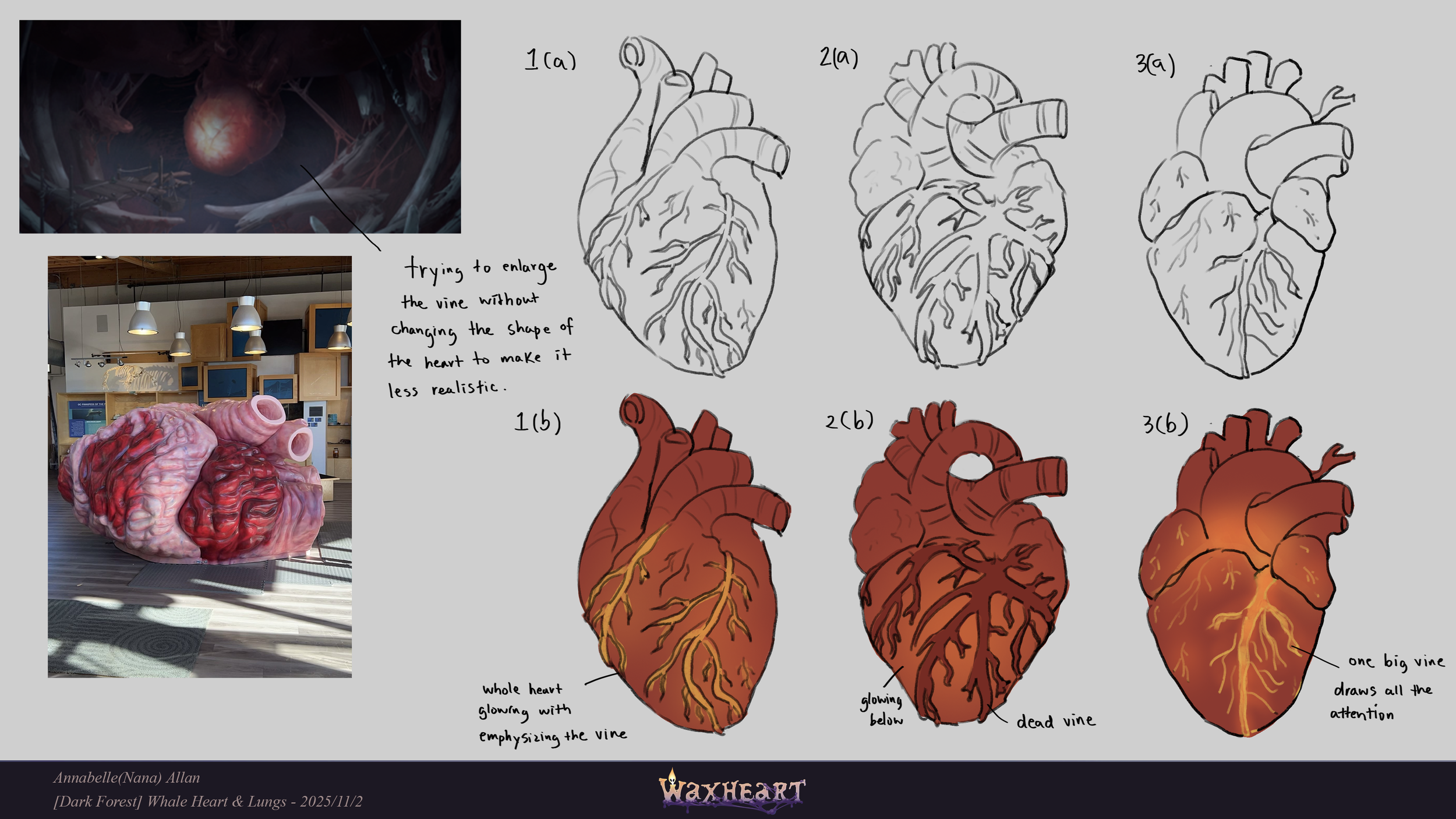 WaxHeart_DarkForest_WhaleHeart&Lungs_ConceptSketches_v1.png