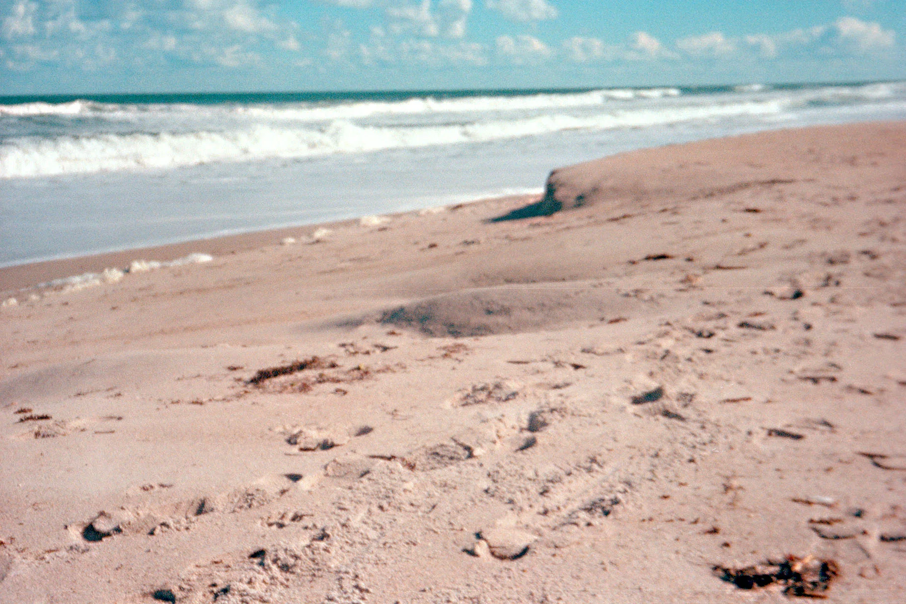ofbeach5jpeg