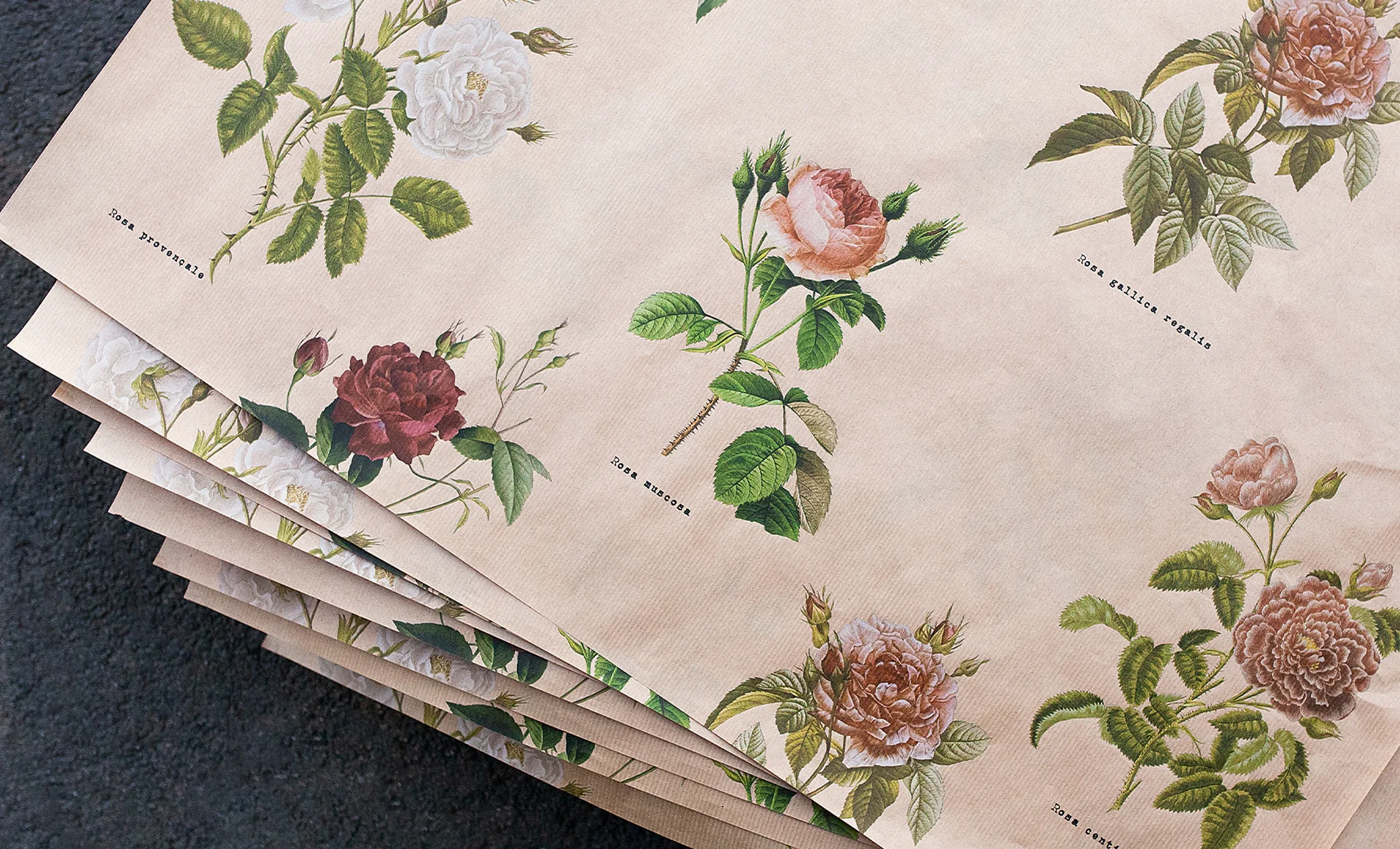 roses_1920.jpg
