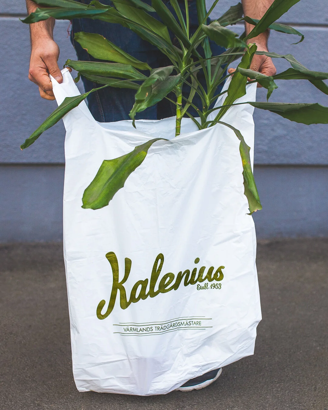 Plastbärkassar 60L 
