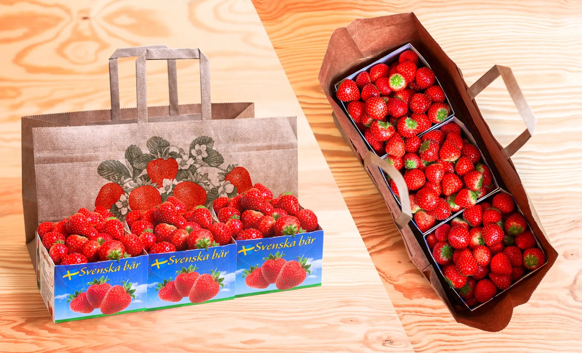 3pack_back_1920 copy.jpg