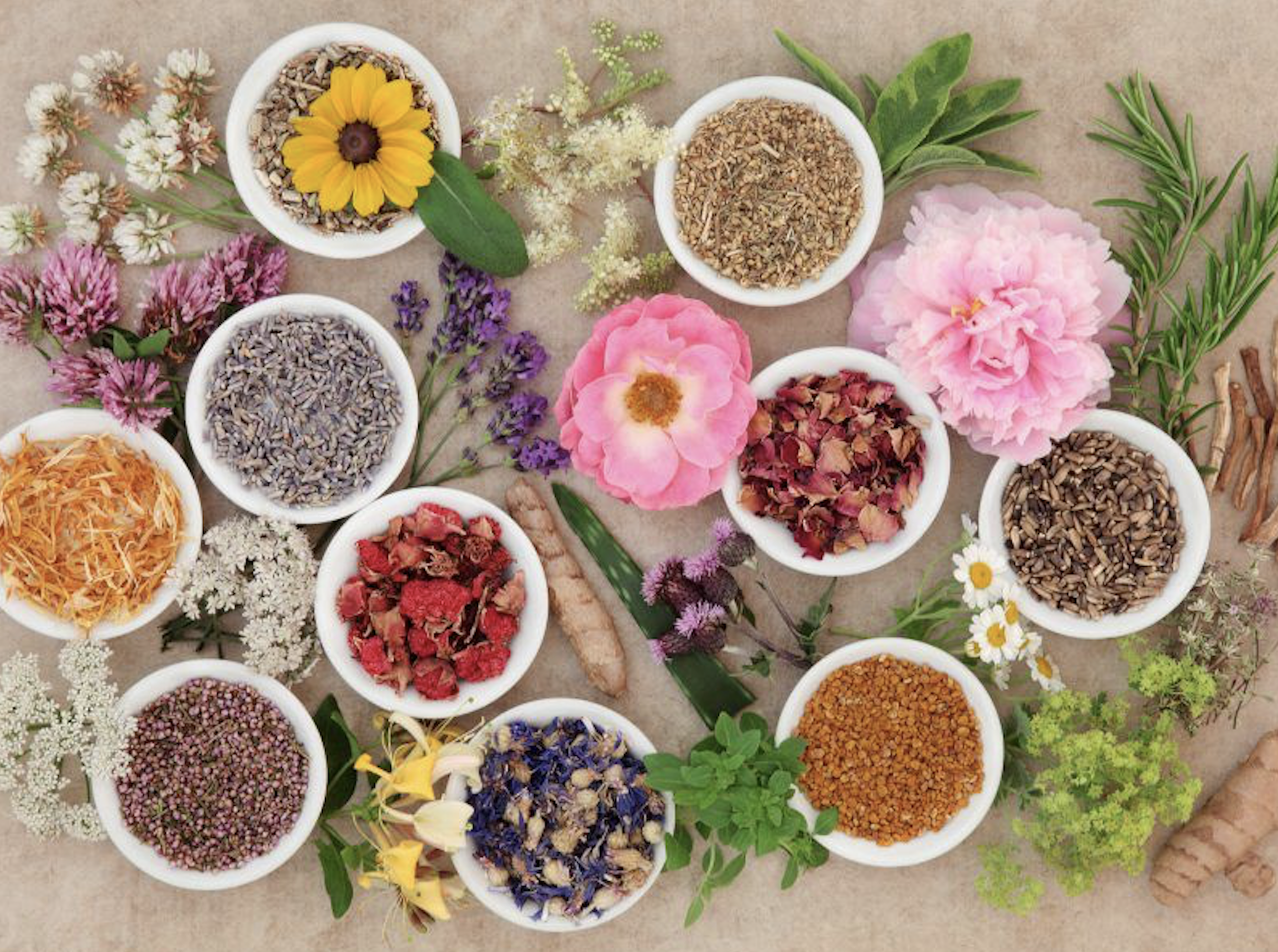 There are many herbal medicines which studies and tradition have shown help with pain