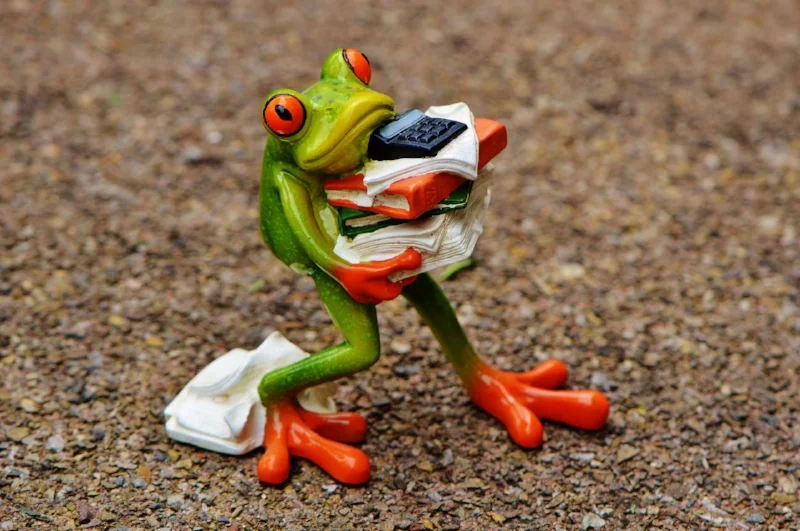 frog-1339892_1920.jpg