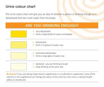 Try putting this near the toilet to remind yourself (and the family) to check if you are well hydrated