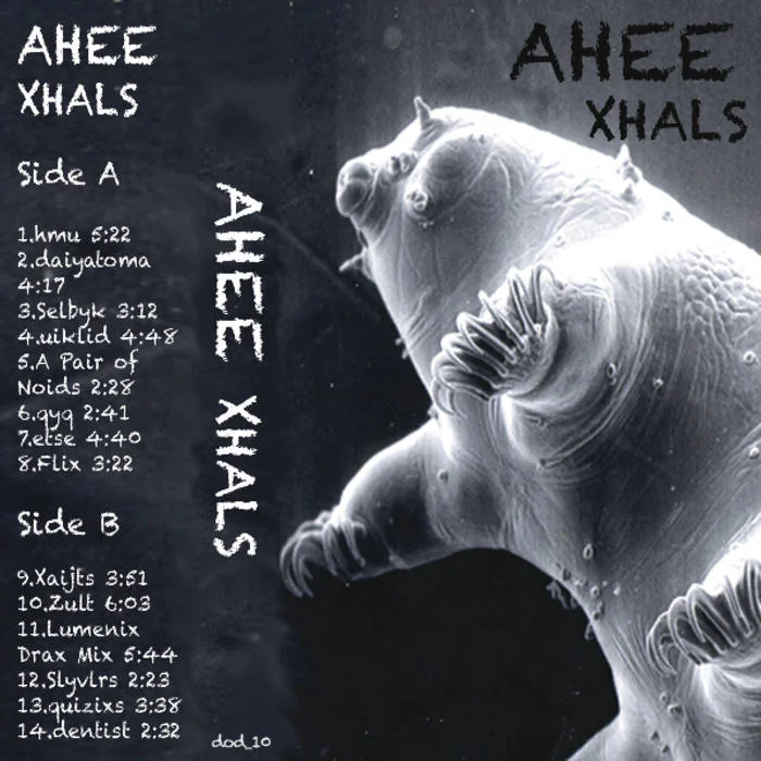 Xhals - Cover.jpg