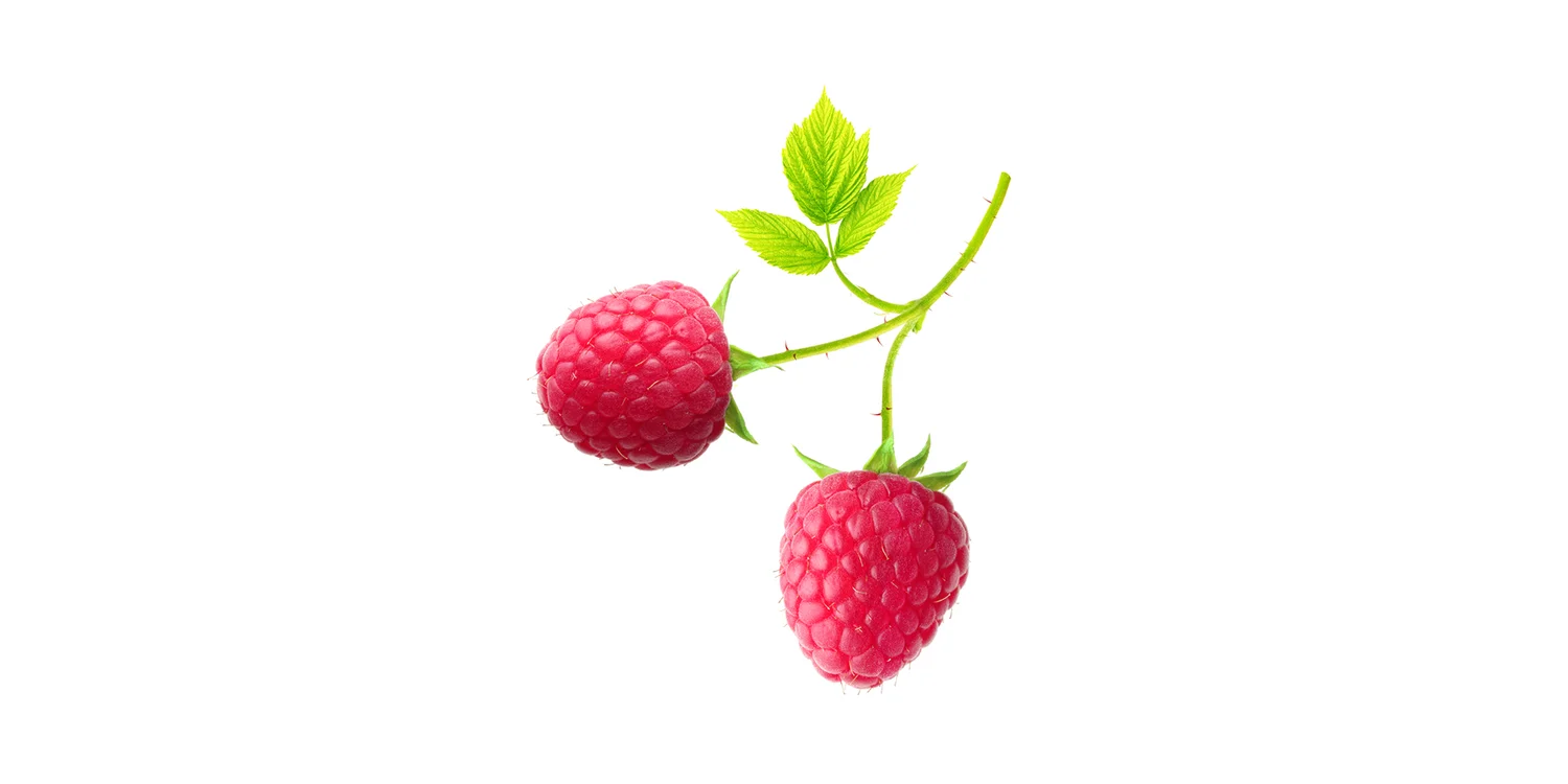 Kentish Raspberry BERRYPEDIA — Kaskein