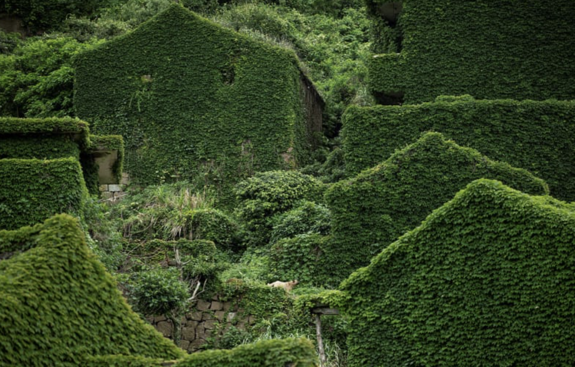 Abandoned Village in China