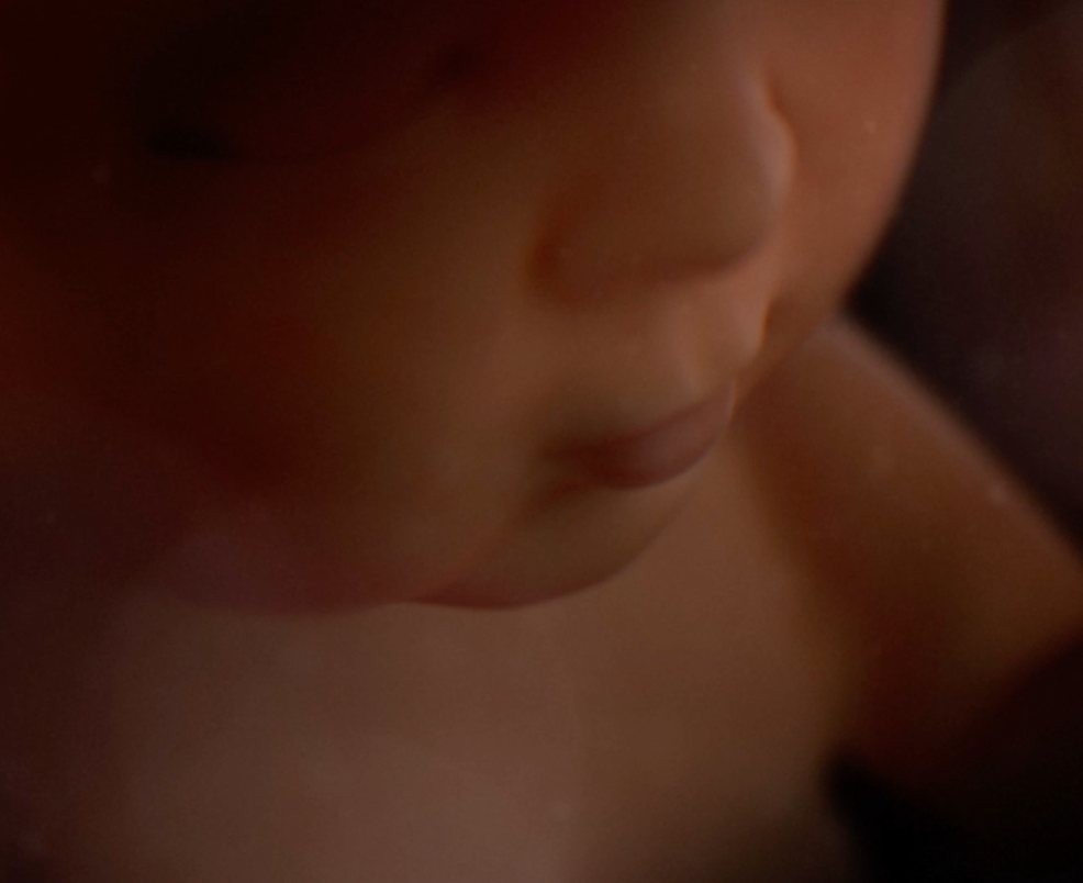 CCTV_Unborn baby
