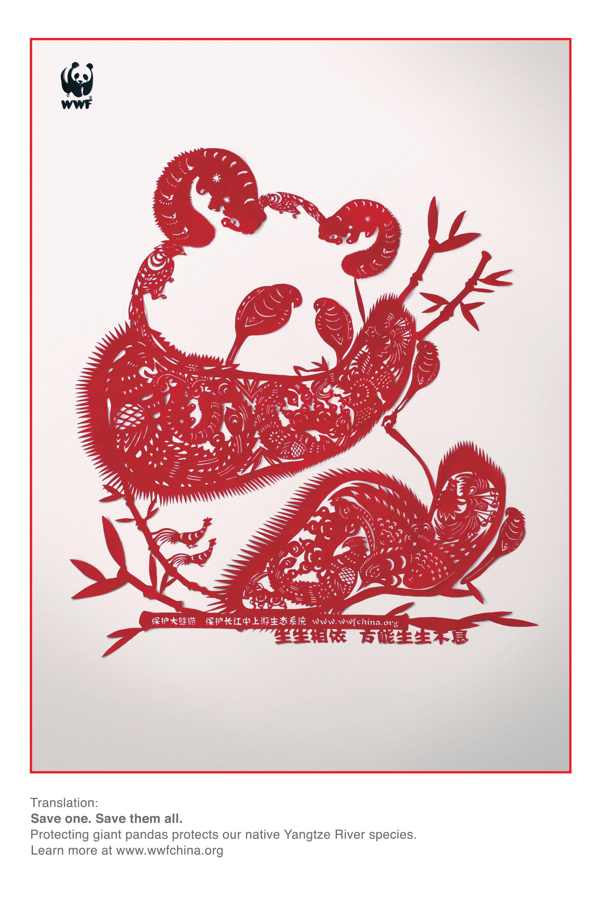 Panda.jpg