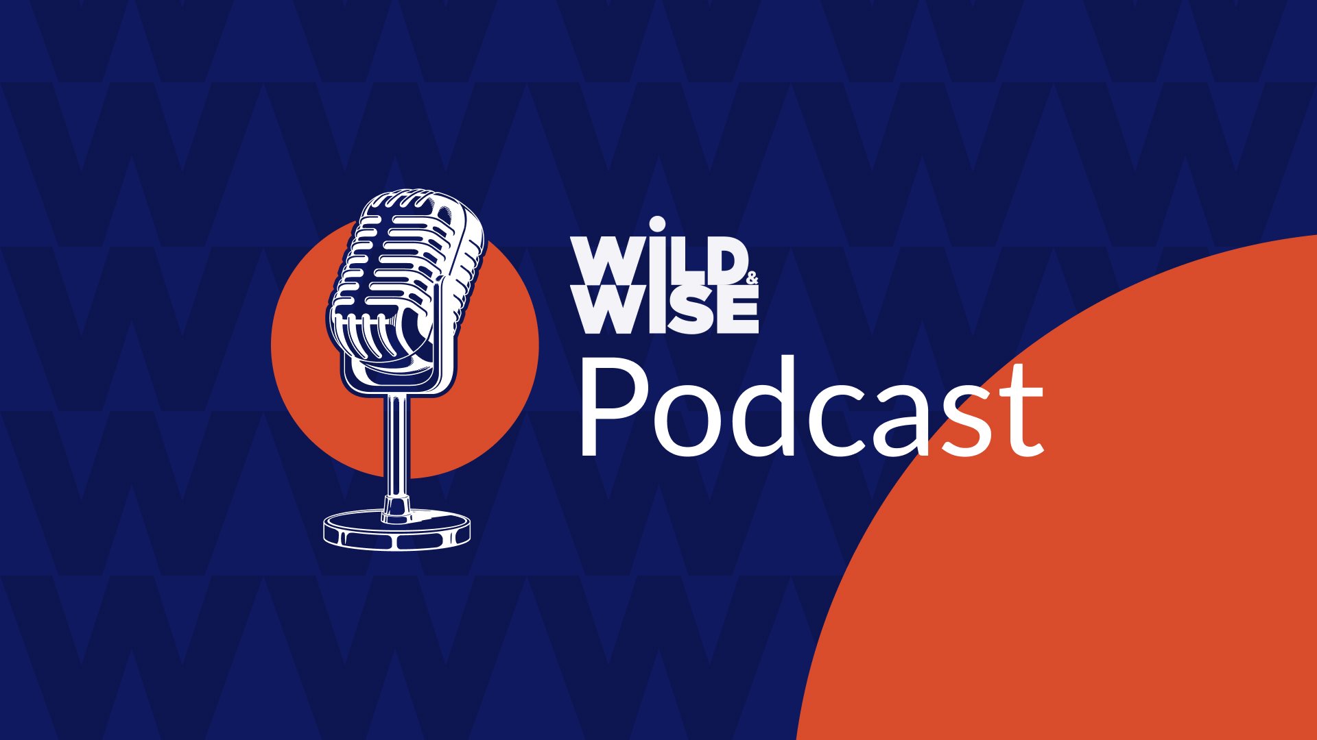 6890bbc964be09da8478d891_wnw_podcast-opengraph.jpg