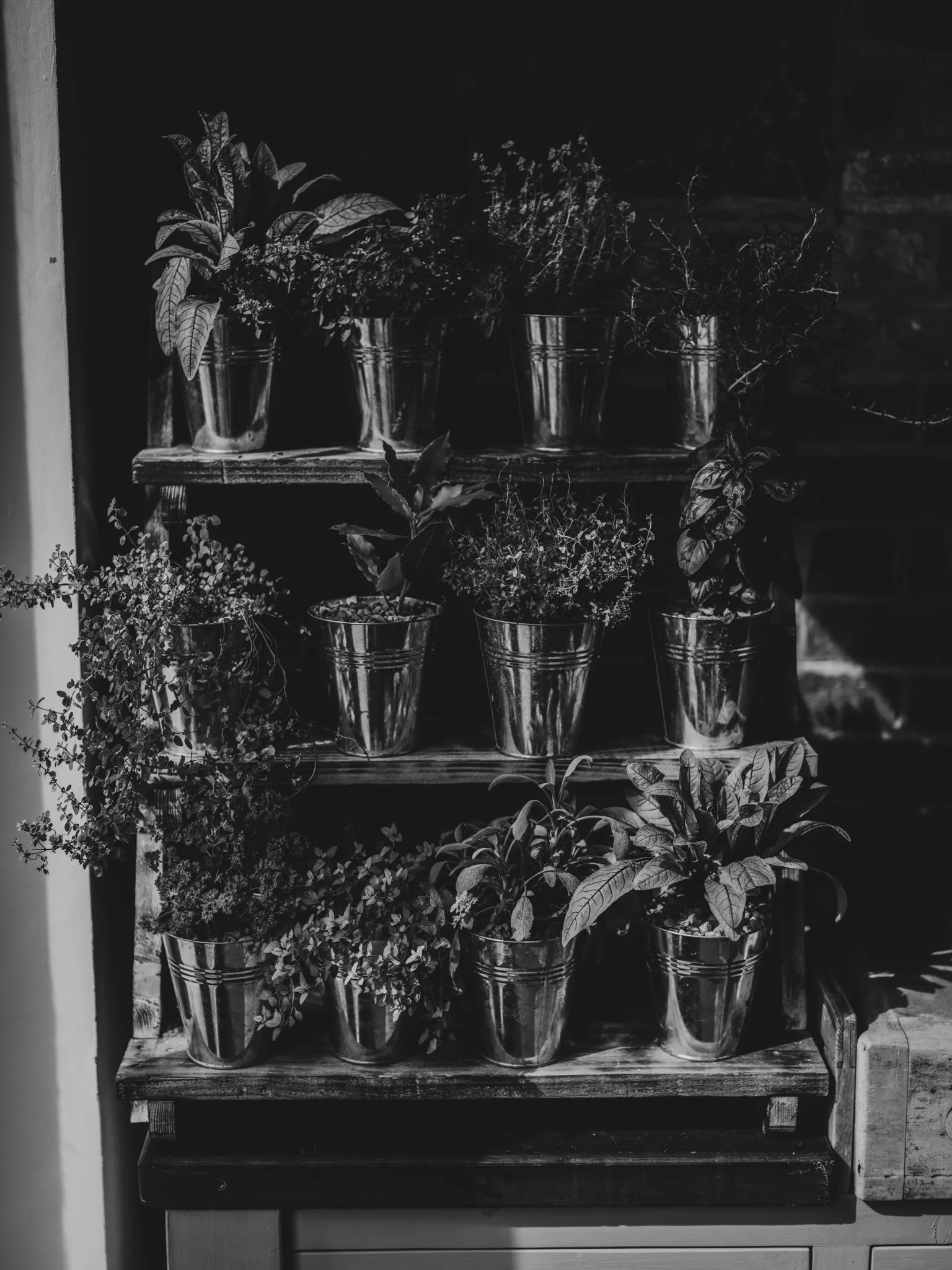 LouiseandGregmonochrome-115.jpg