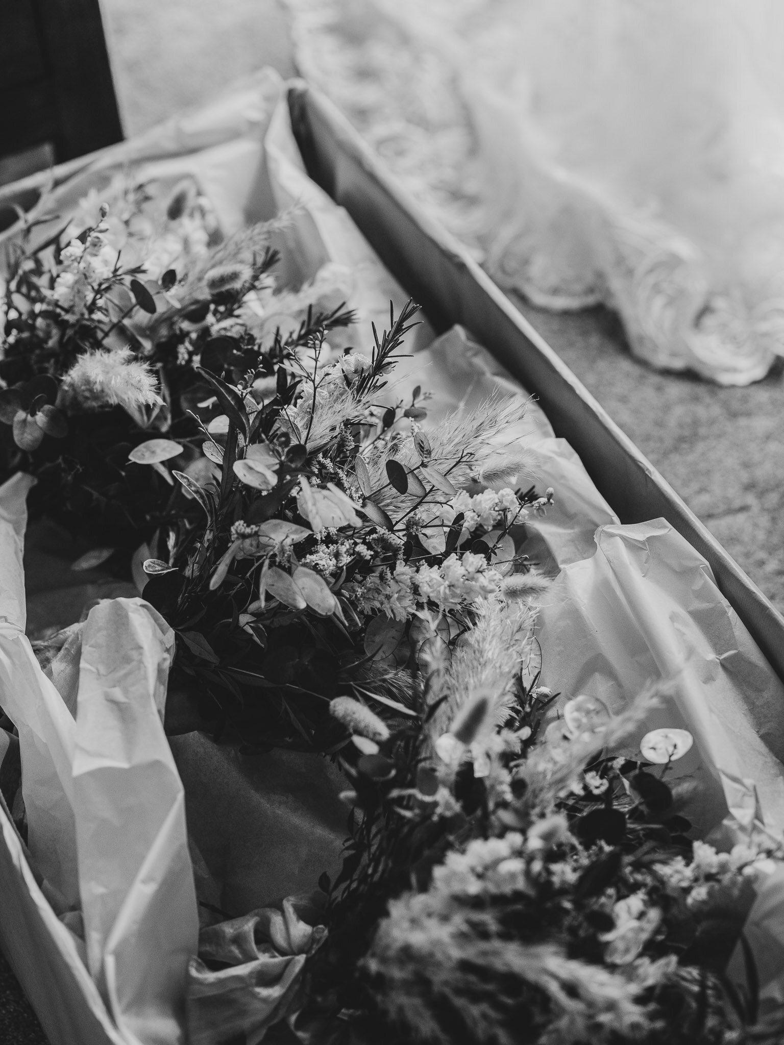 monochrome-65.jpg