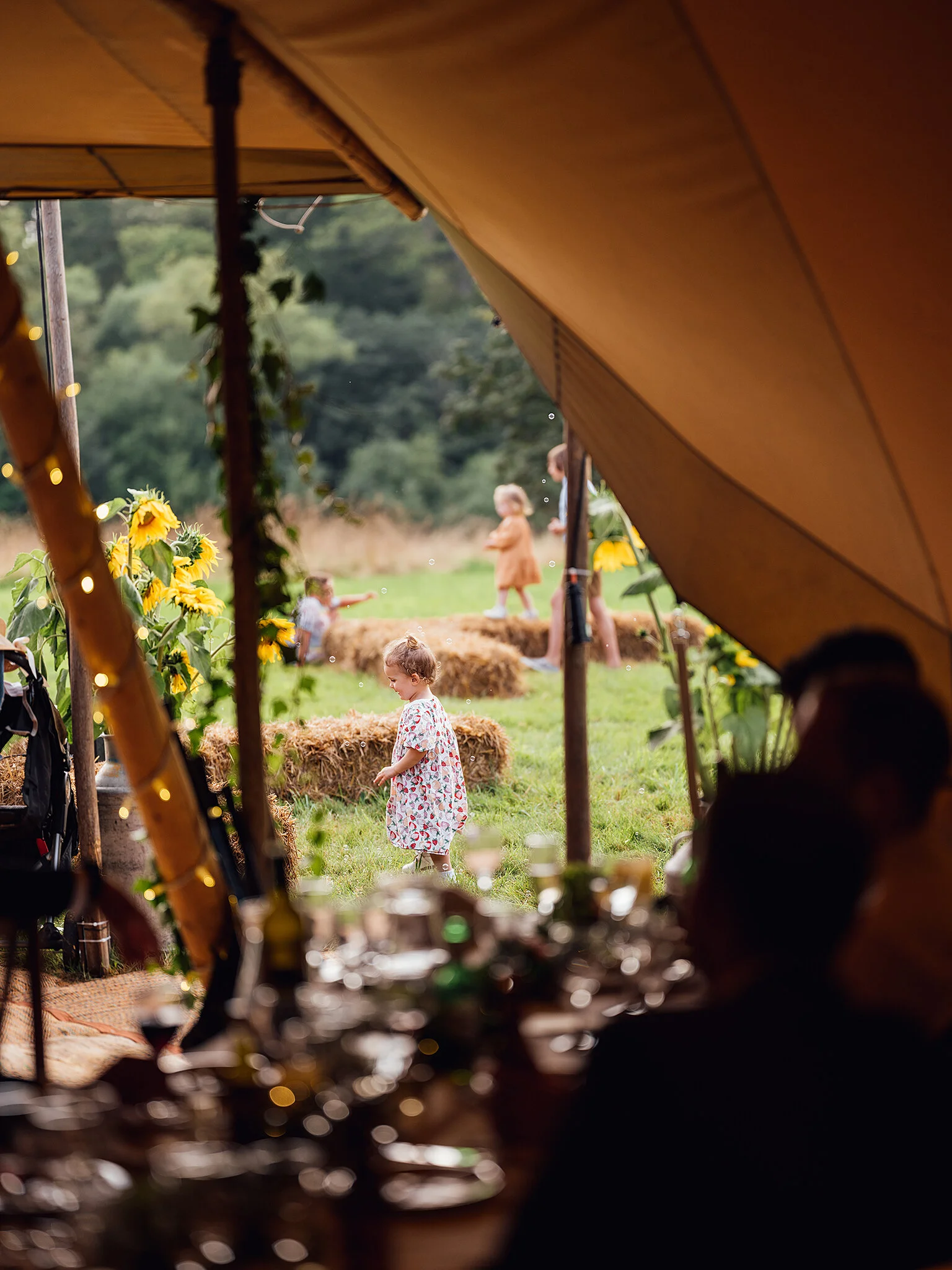 Felicity and Ruud's wedding (460 of 633).jpg