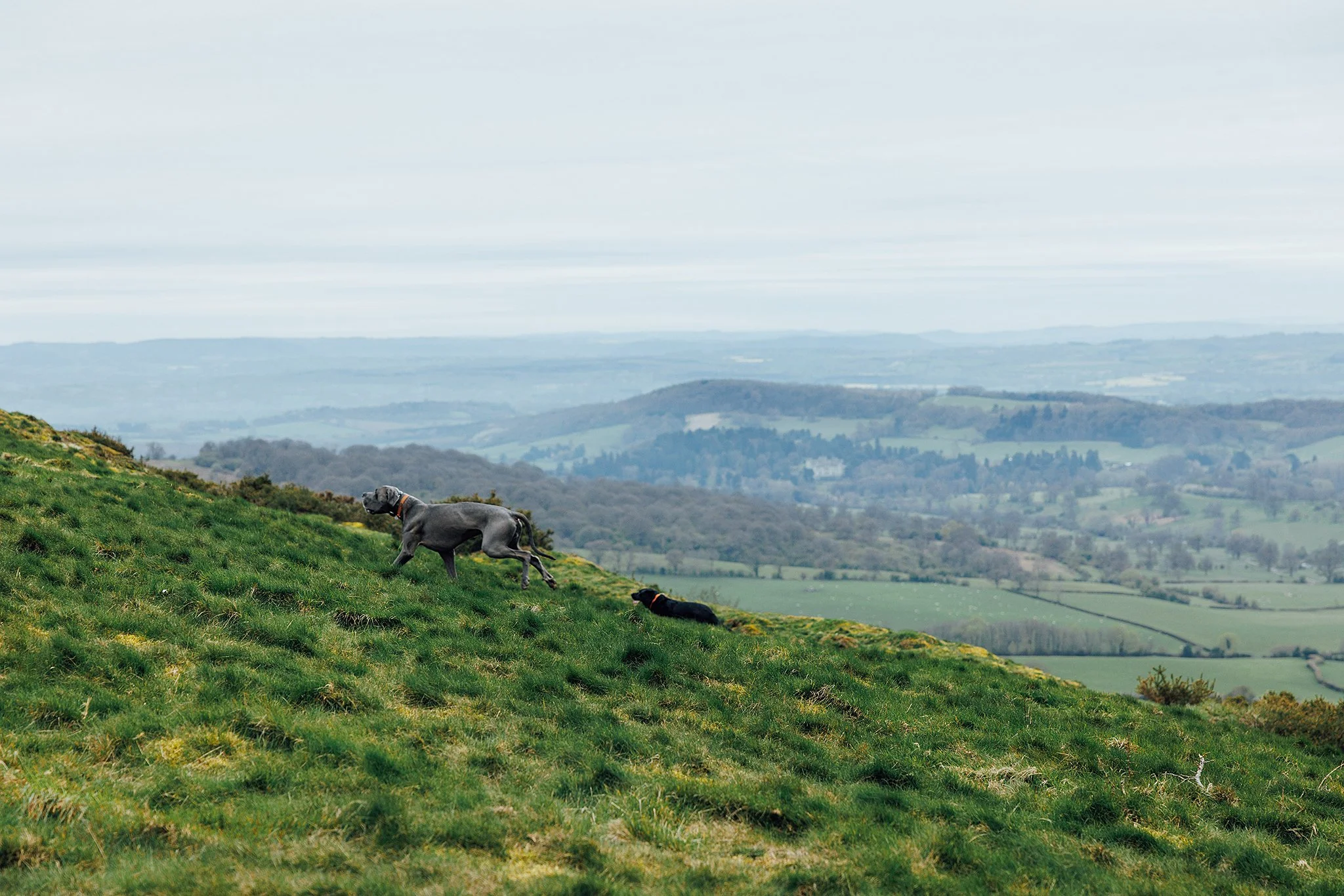 4G1A1232.jpg