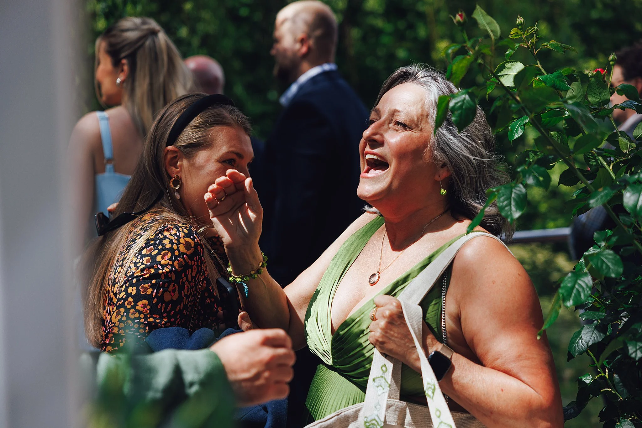 colour D and C-270.jpg