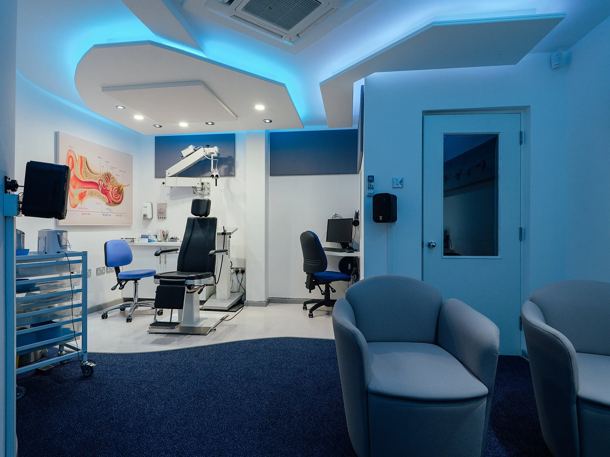 large (222 of 313).jpg