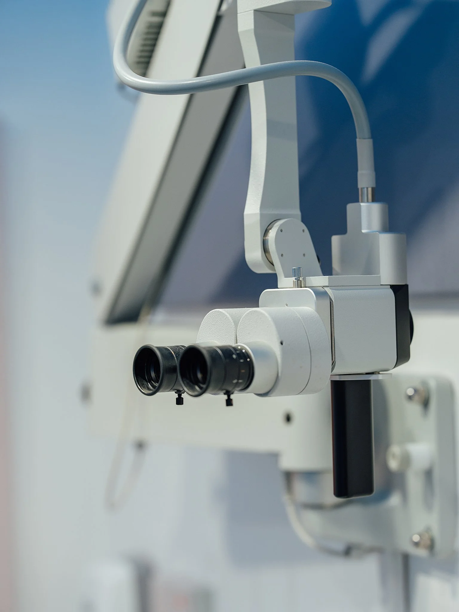 large (248 of 313).jpg