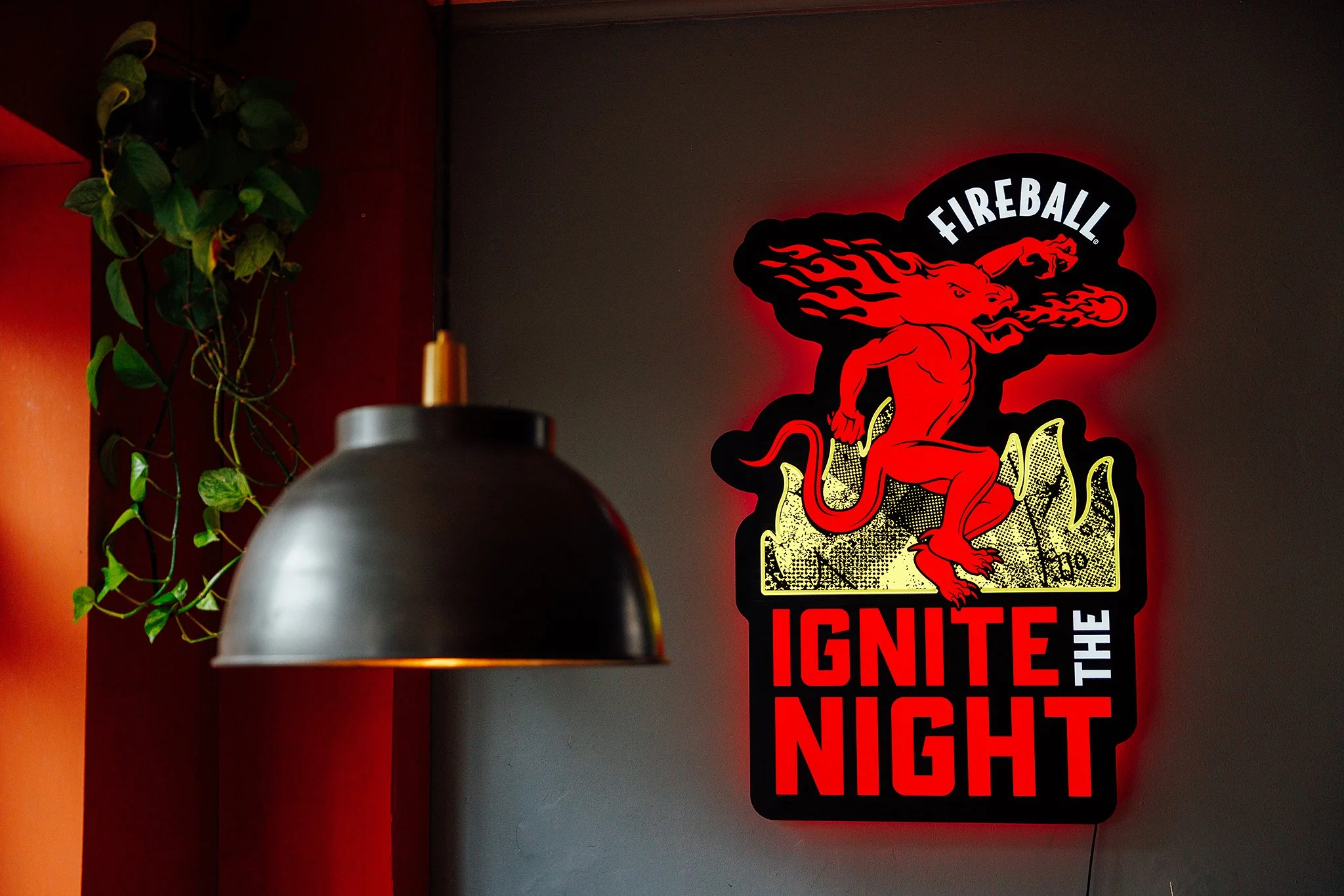 food day large (15 of 285).jpg