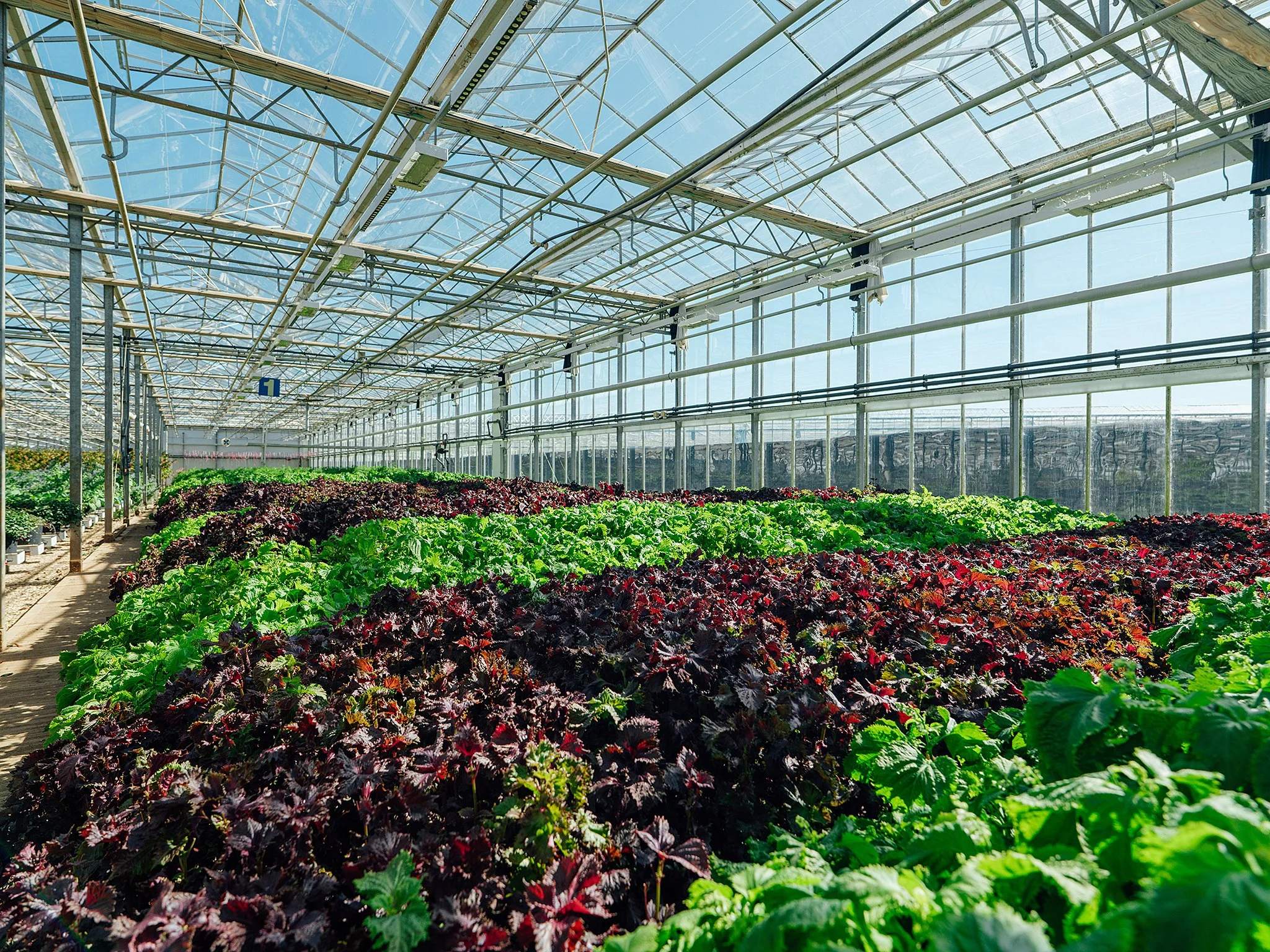 west large (406 of 866).jpg