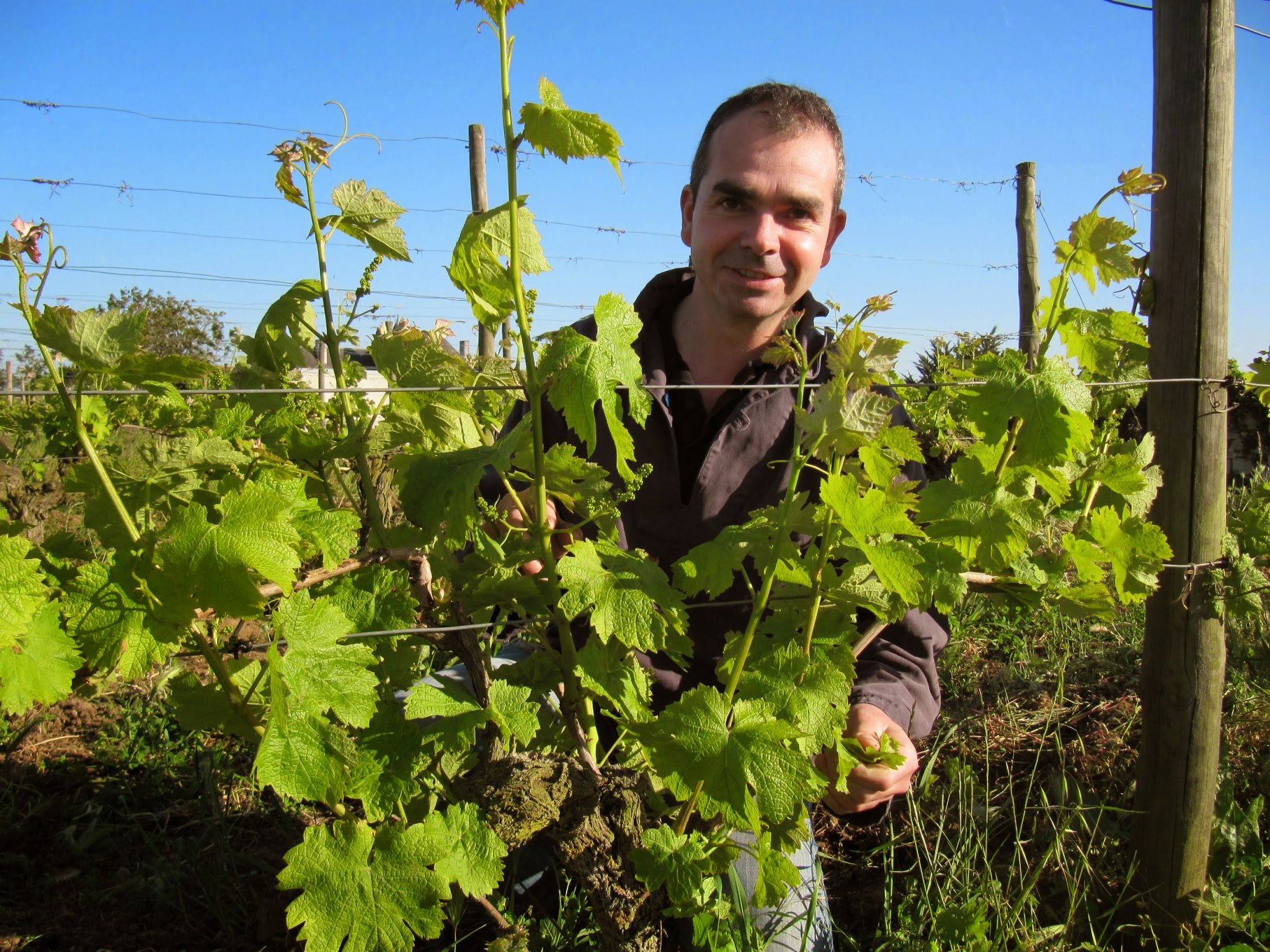 Domaine Bruno Dubois.jpg