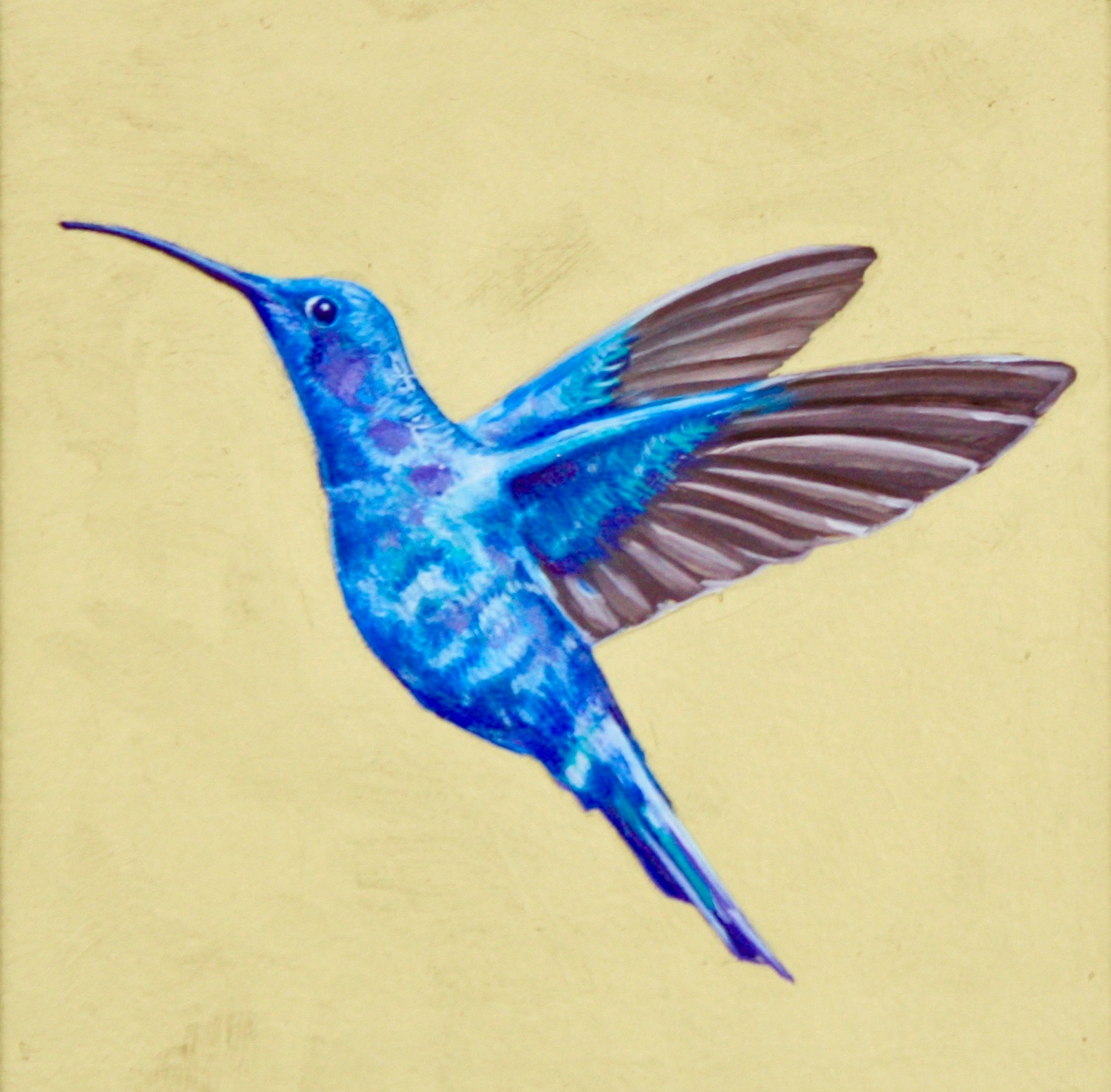 Hummingbird I