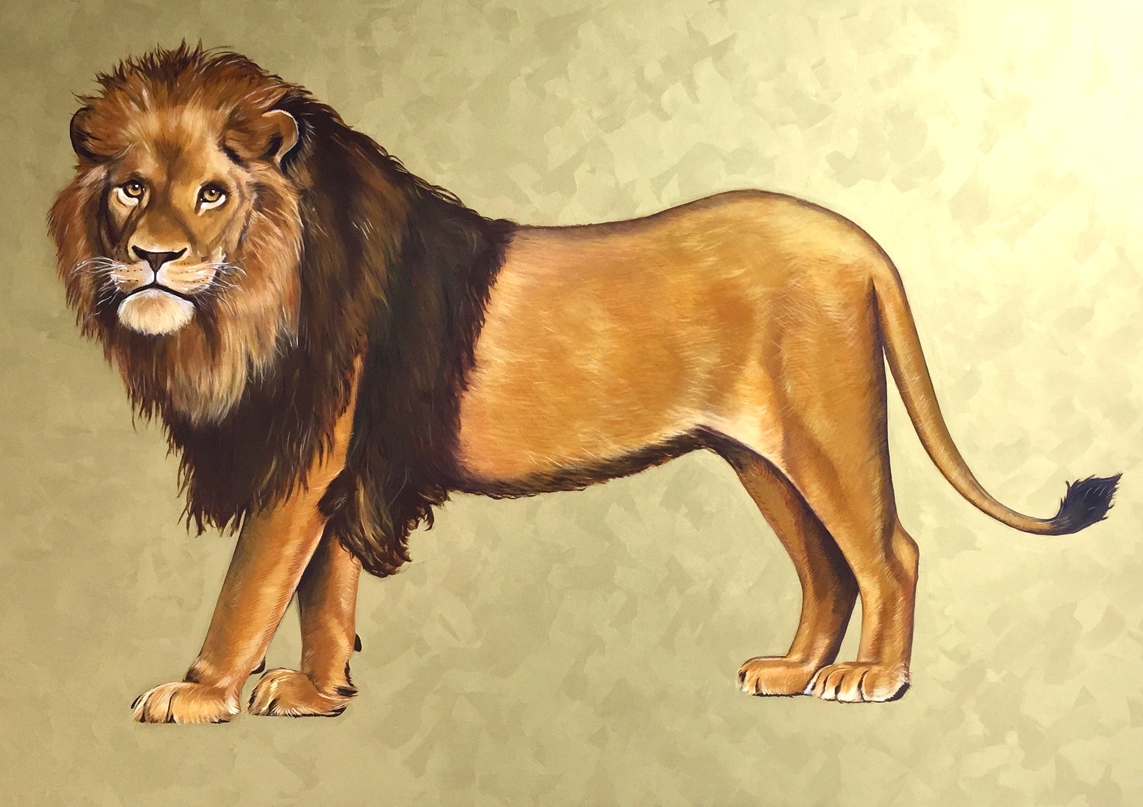 Lion I